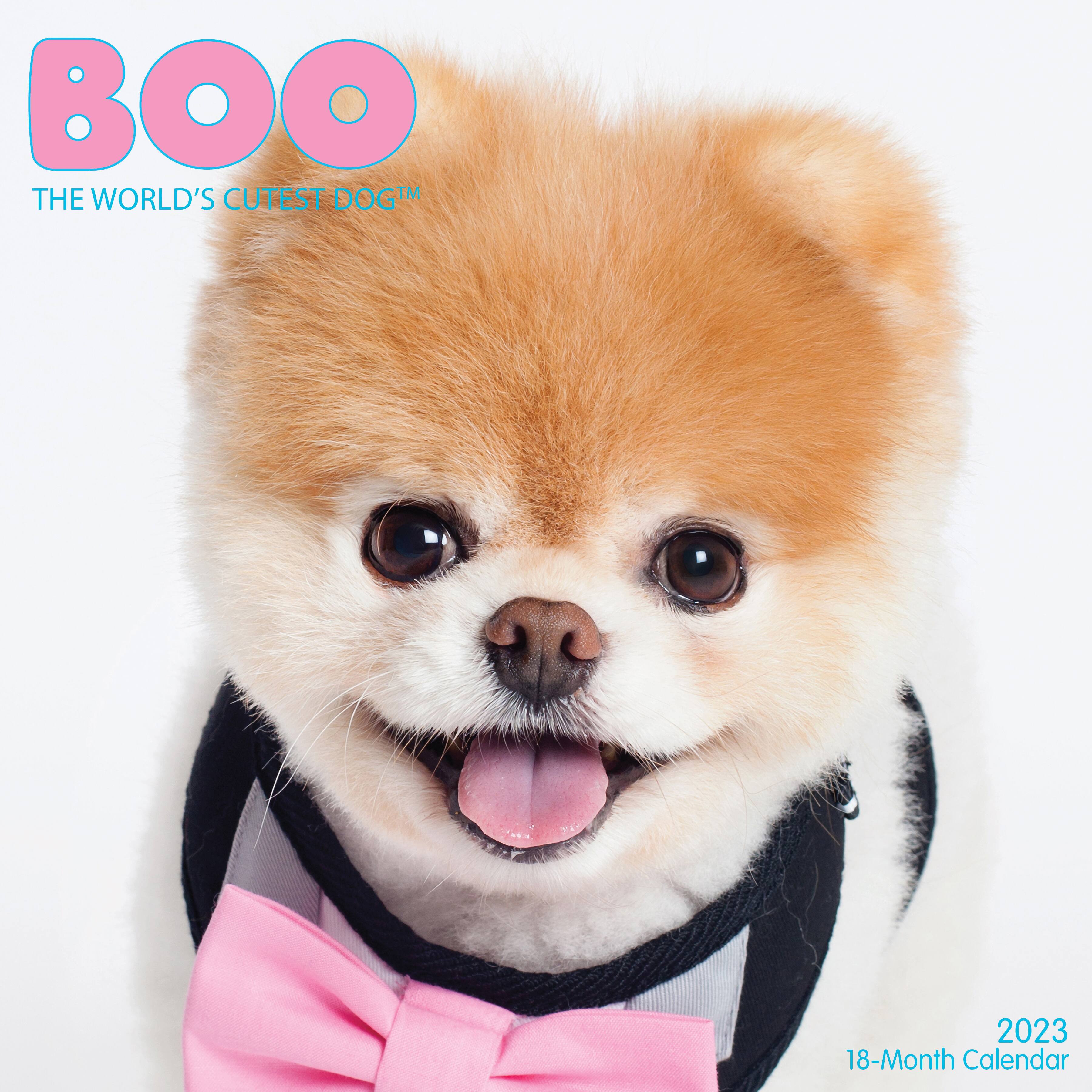 2023 Boo Wall Calendar Wall Calendars Michaels