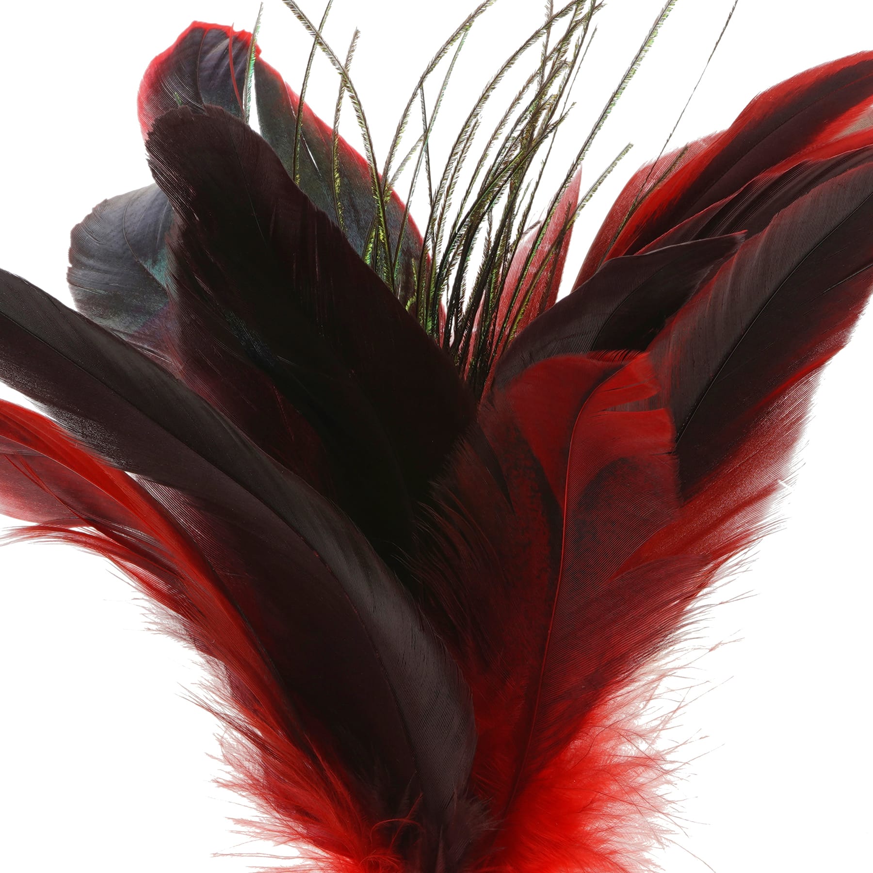 Red Peacock Feather Pick by Ashland&#xAE;