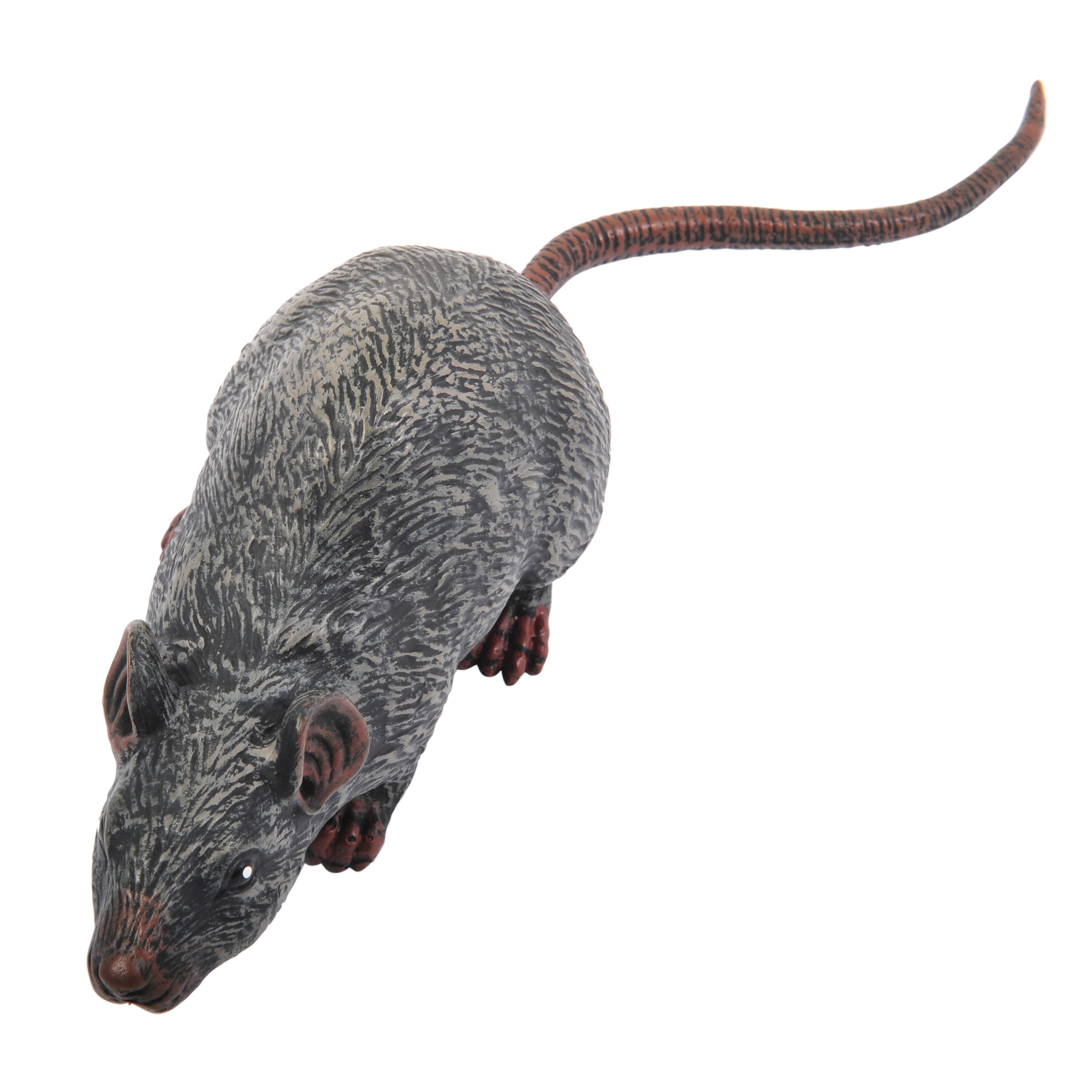 12.25&#x22; Sewer Rat by Ashland&#xAE;