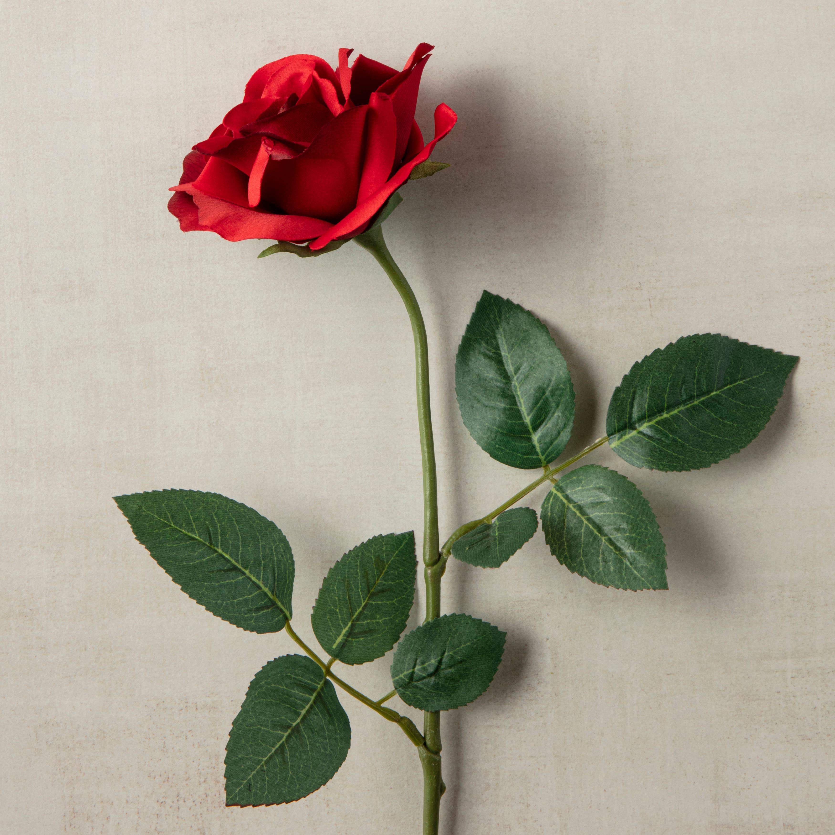 12 Pack: Dark Red Princess Rose by Ashland®