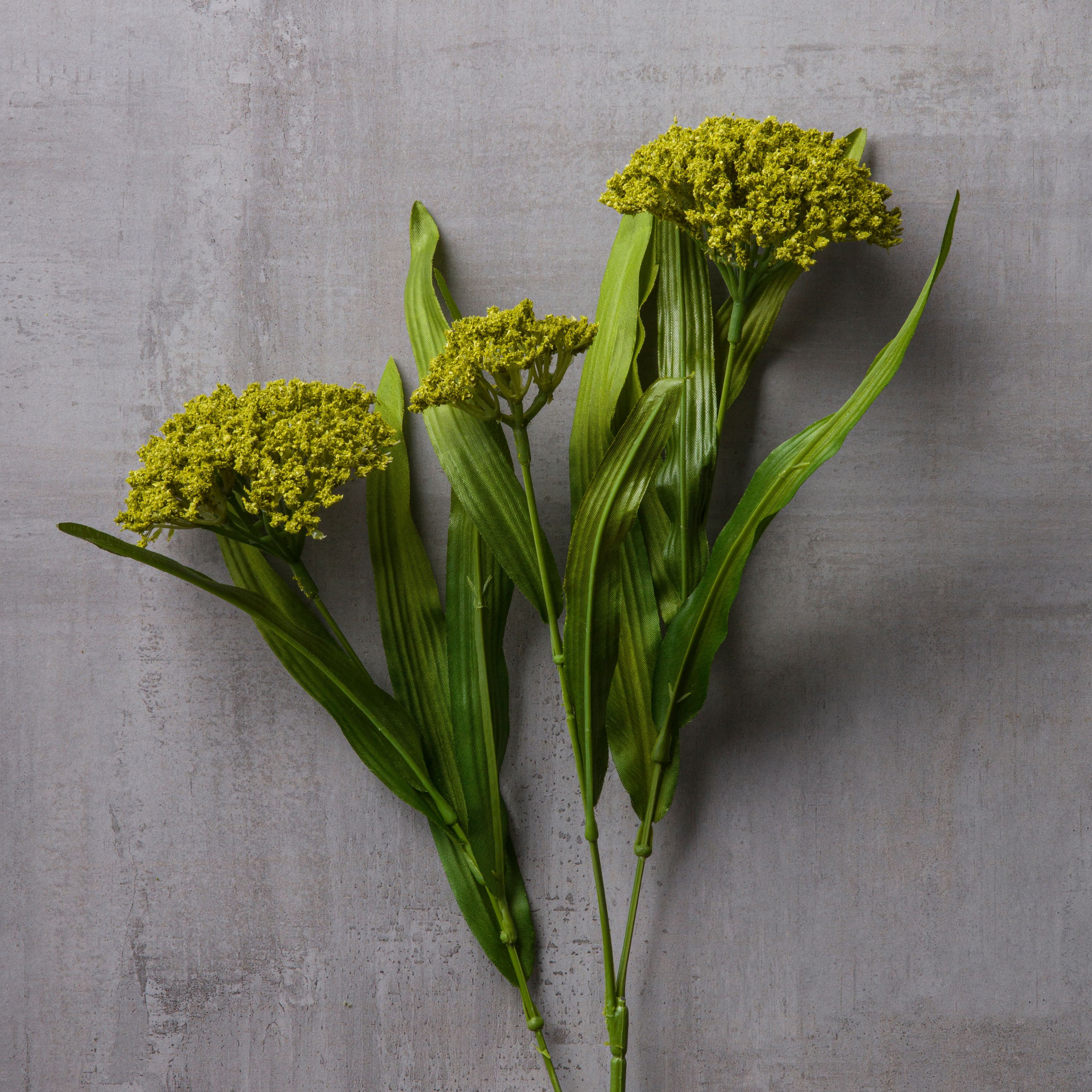 Green Queen Anne&#x27;s Lace Stem by Ashland&#xAE;