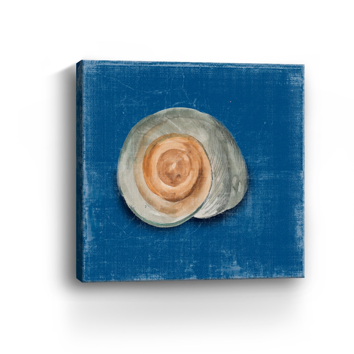 Rosecliff Shell III Canvas Giclee