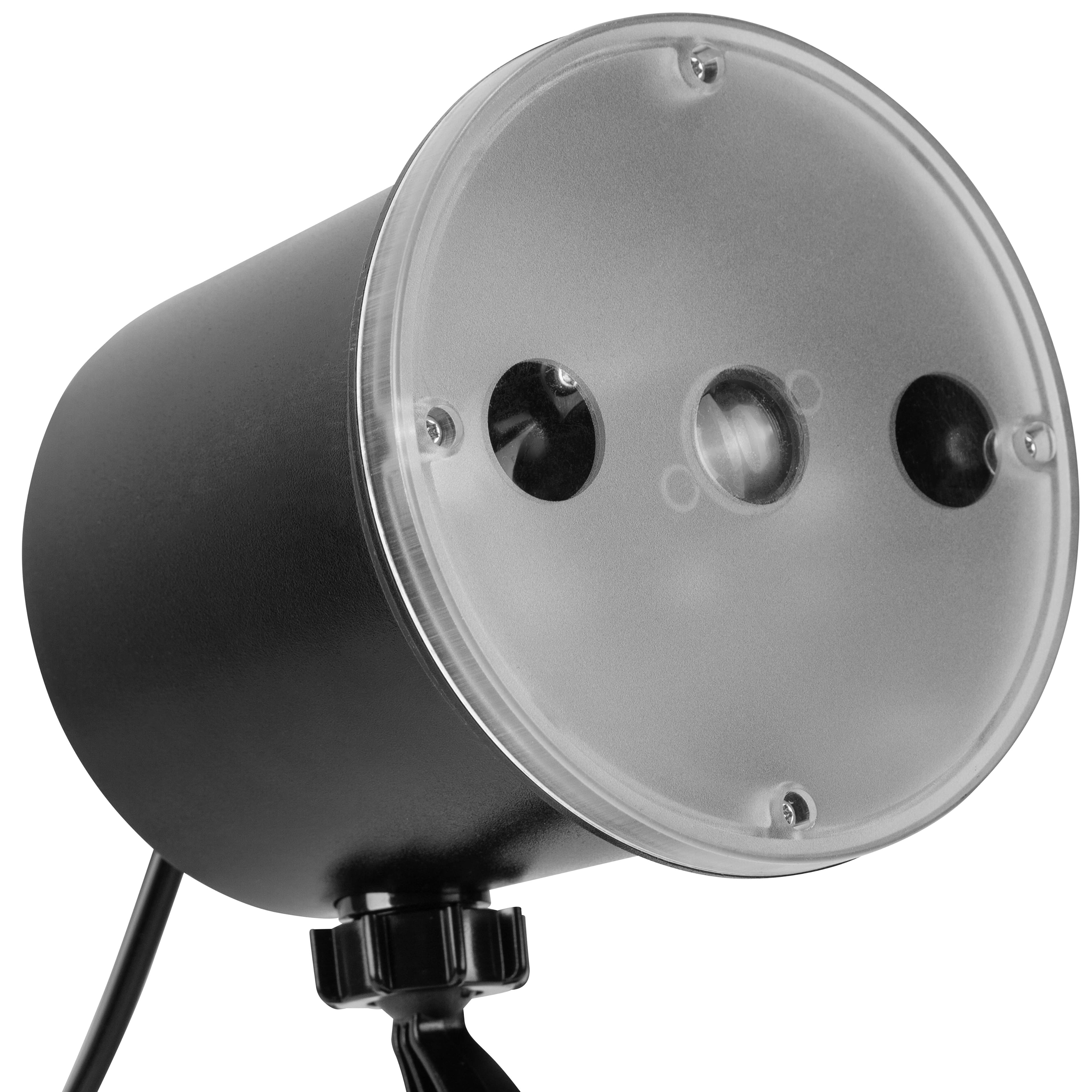 LightShow&#xAE; Projection&#x2122; Cascading Spiders by Ashland&#xAE;