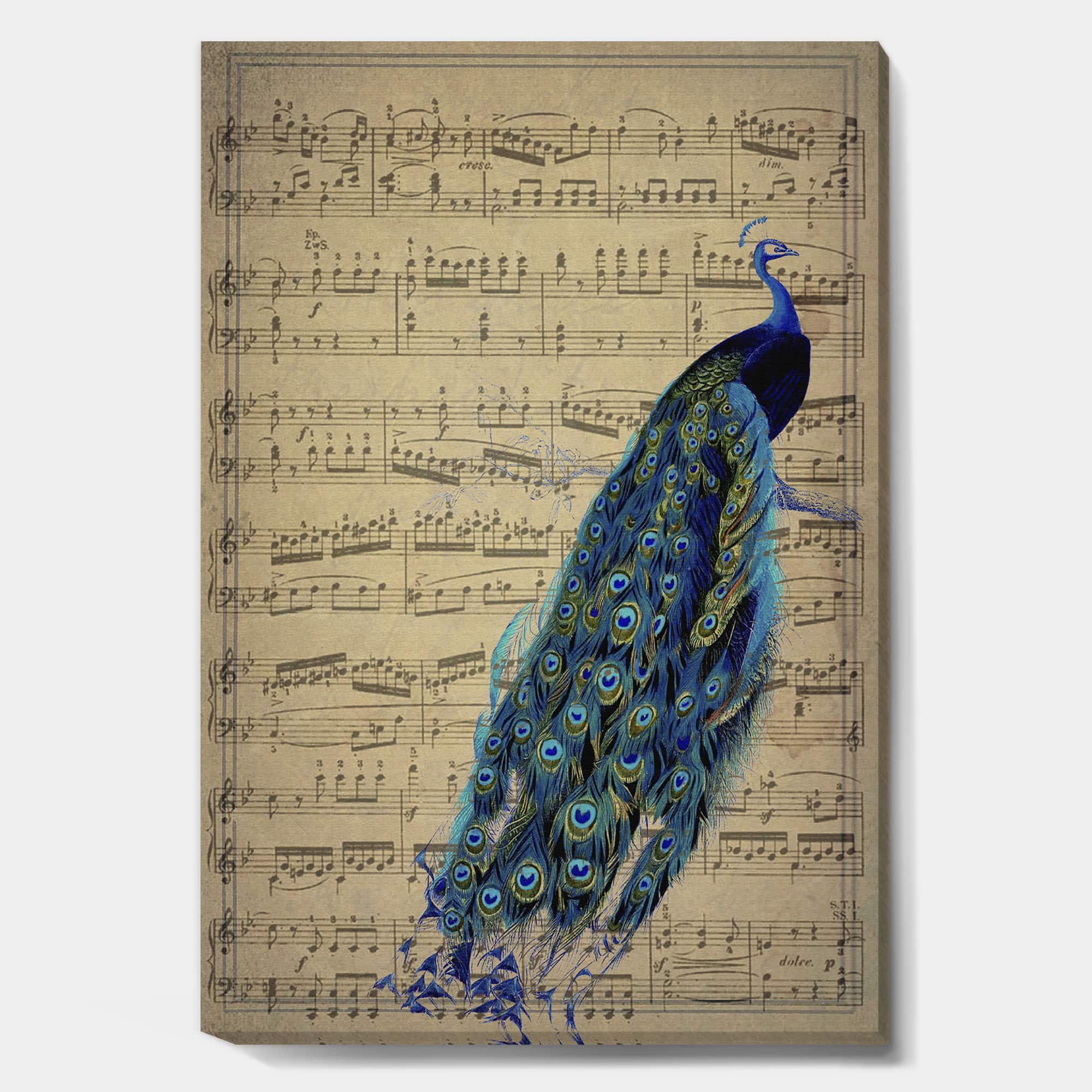 Designart - Peacock Music Score - Cottage Gallery-wrapped Canvas