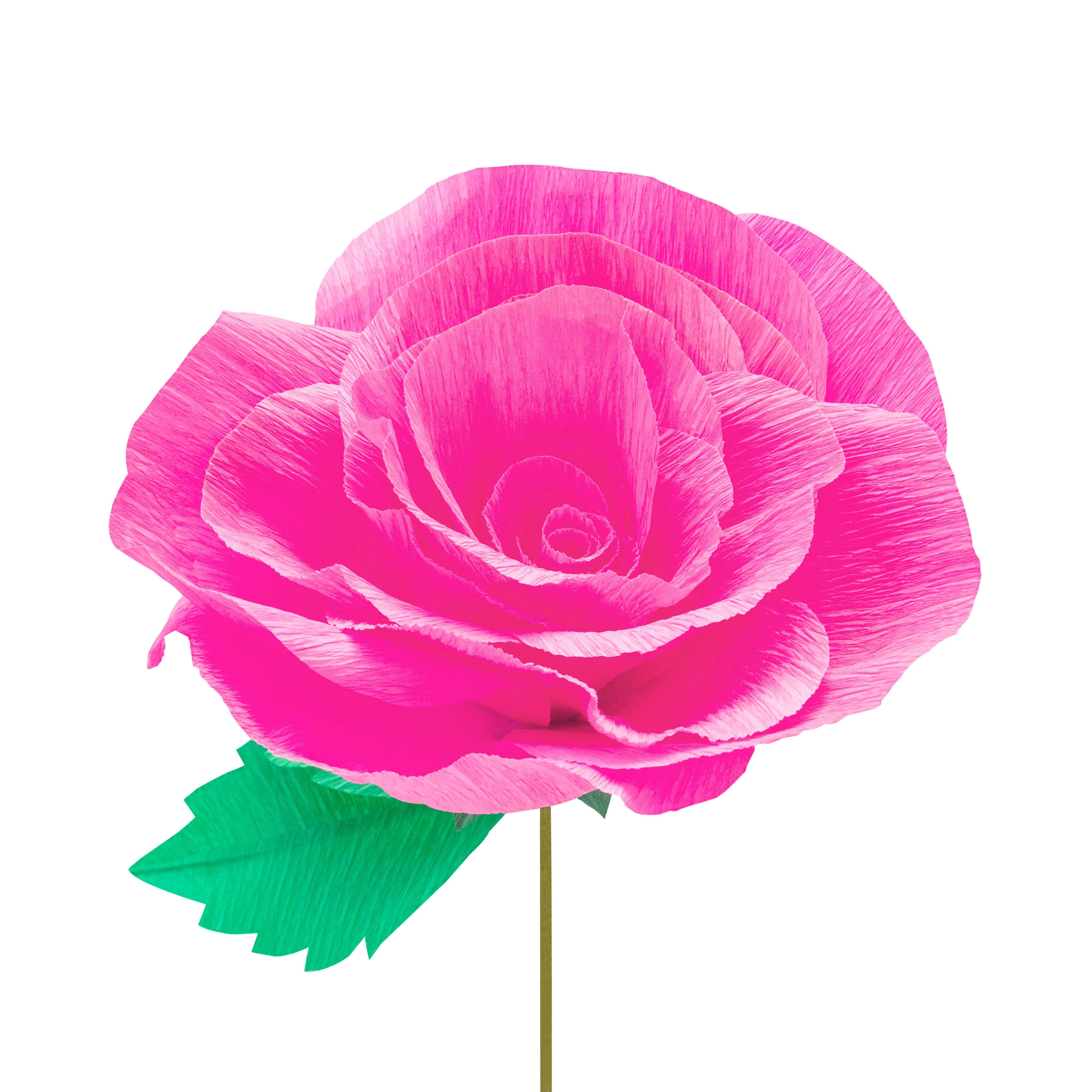 Large Rose Crepe Paper Flower Kit by Recollections&#x2122;