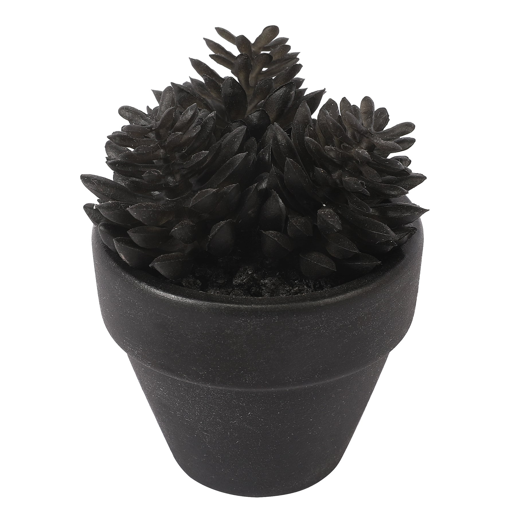 Assorted Mini Potted Succulent by Ashland&#xAE;, 1pc.