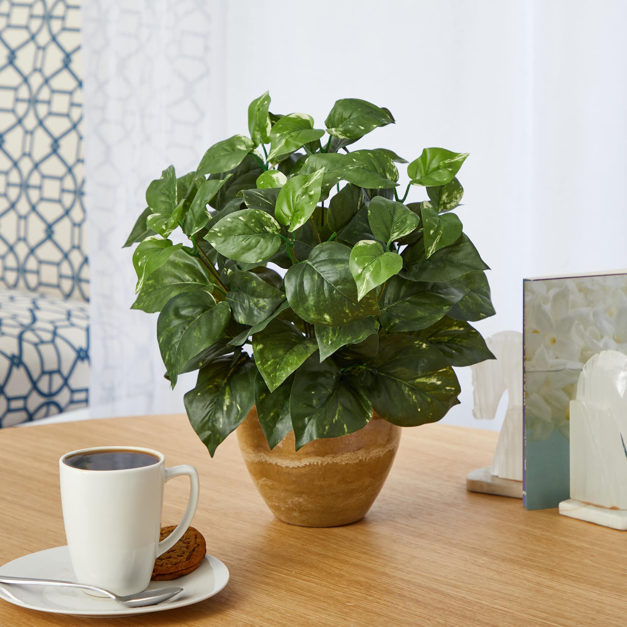 14&#x22; Pothos Plant in Ceramic Planter