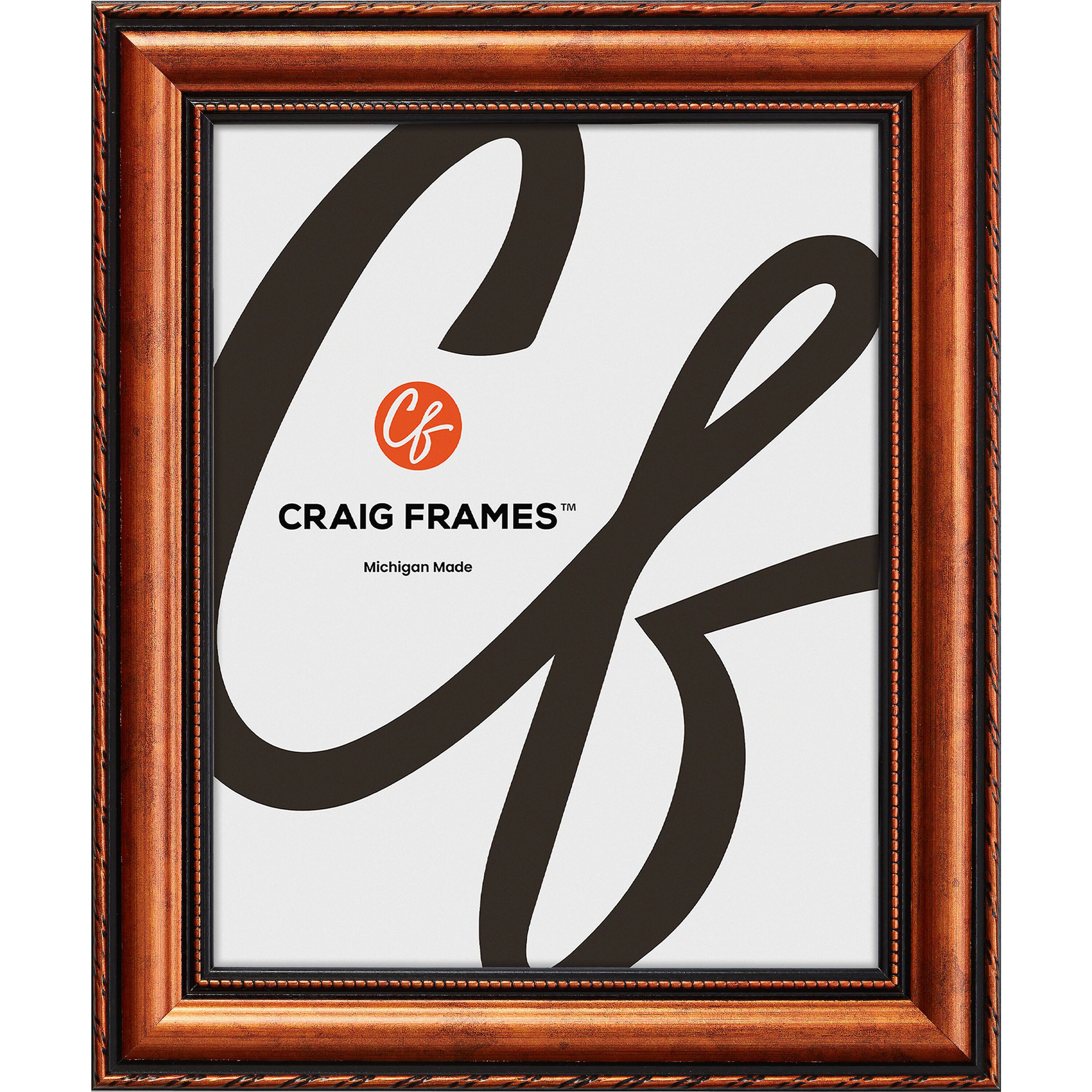 2 Pack Craig Frames Victoria Copper Picture Frame