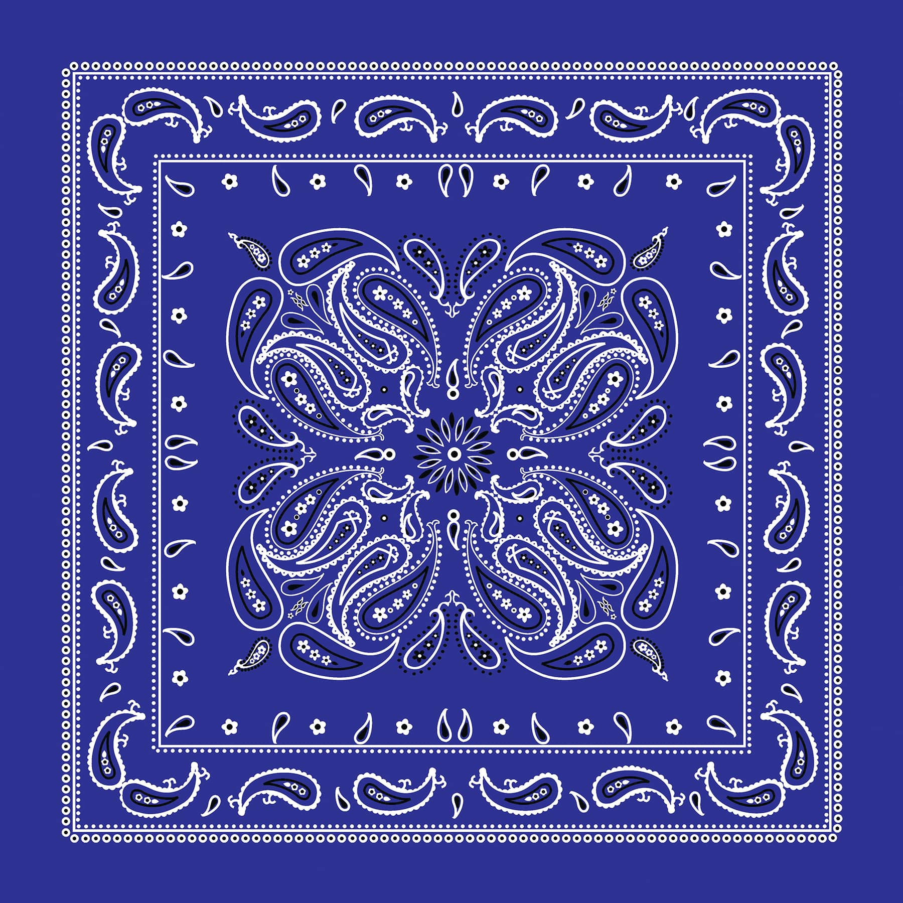 12 Pack: Paisley Bandana by Make Market®