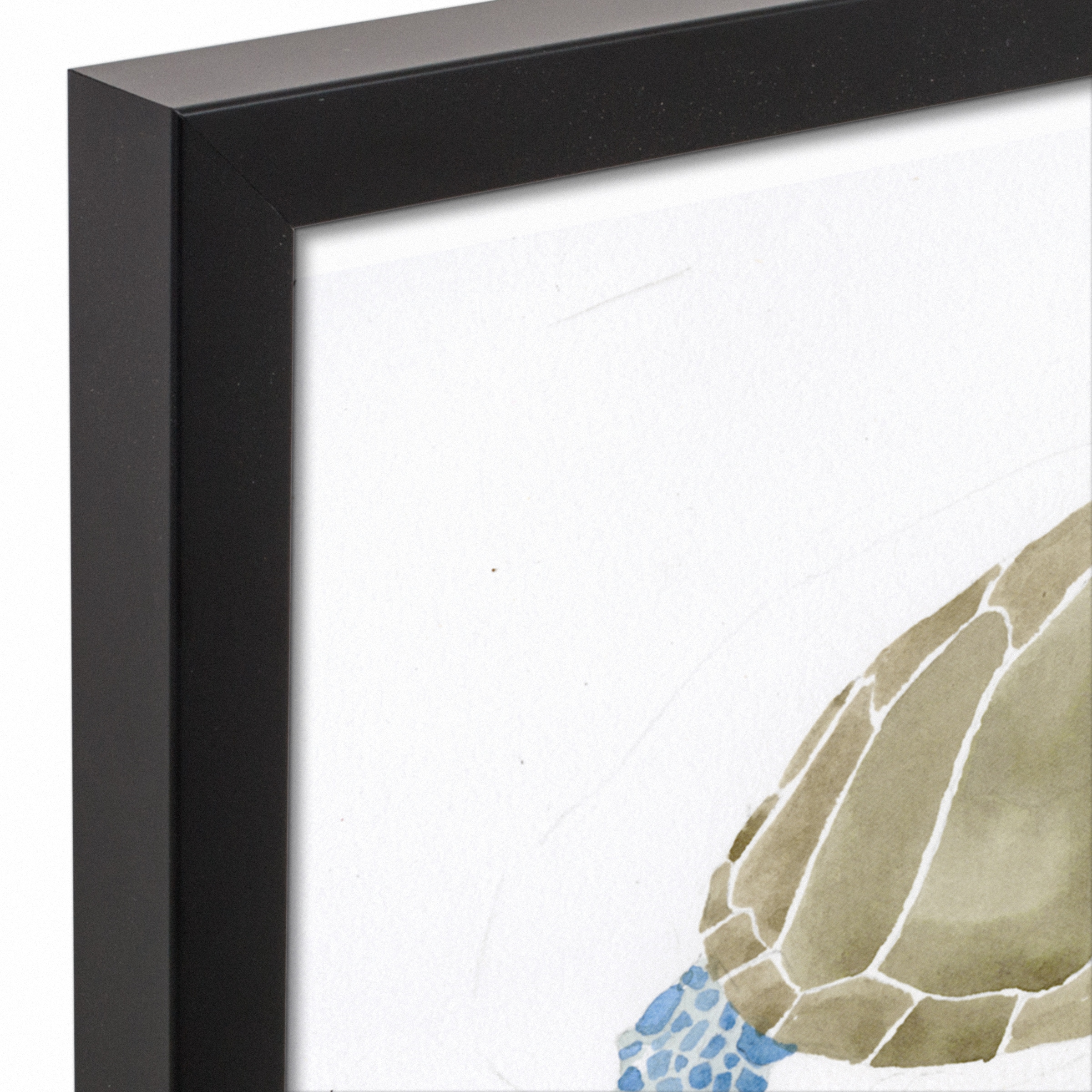 Sea Turtle Cluster Black Framed Canvas Wall Art