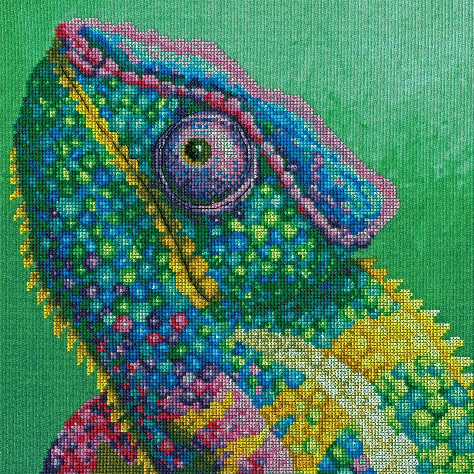 Bothy Threads Illusion Counted Cross Stitch Kit