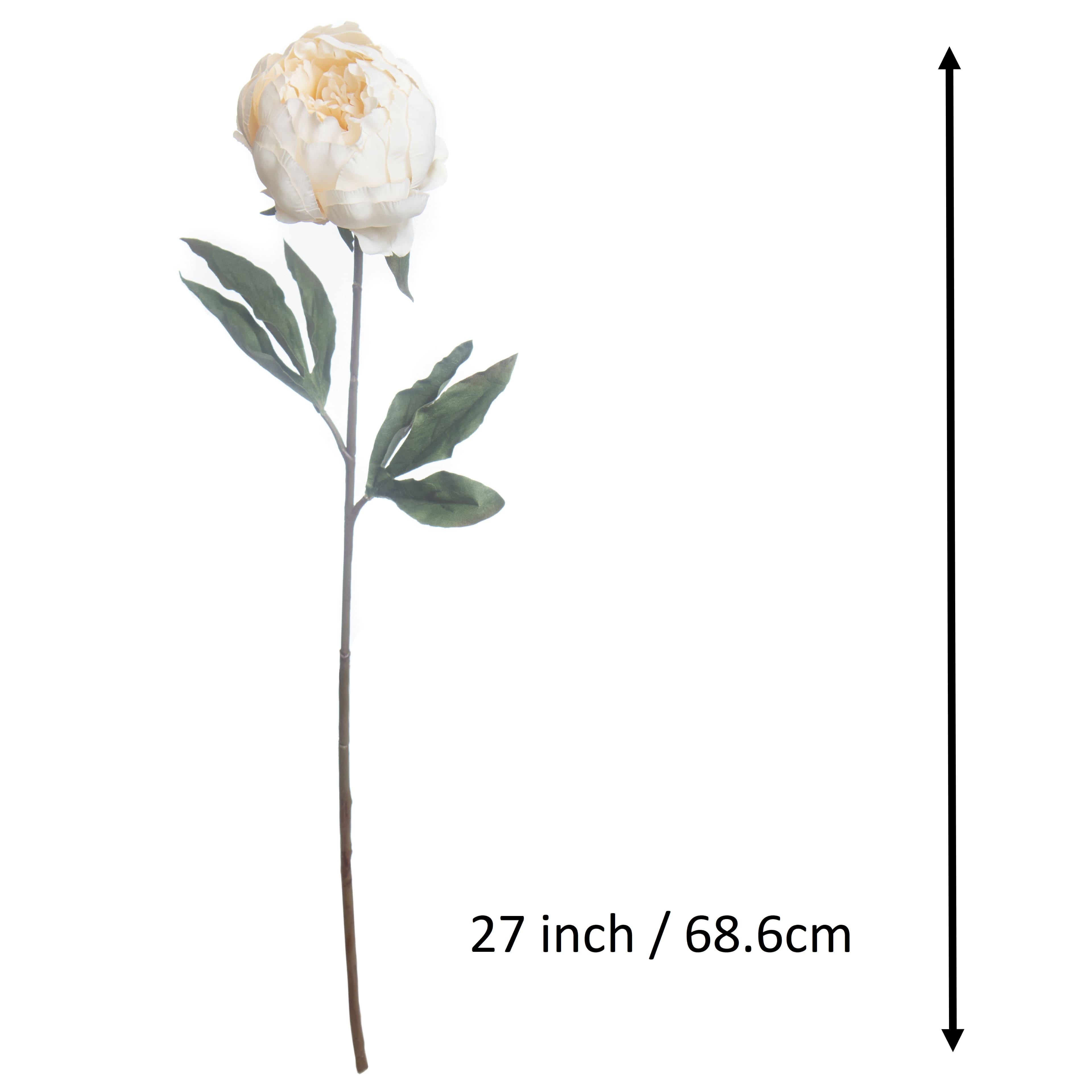 27&#x22; Cream Peony Stem by Ashland&#xAE; Fall