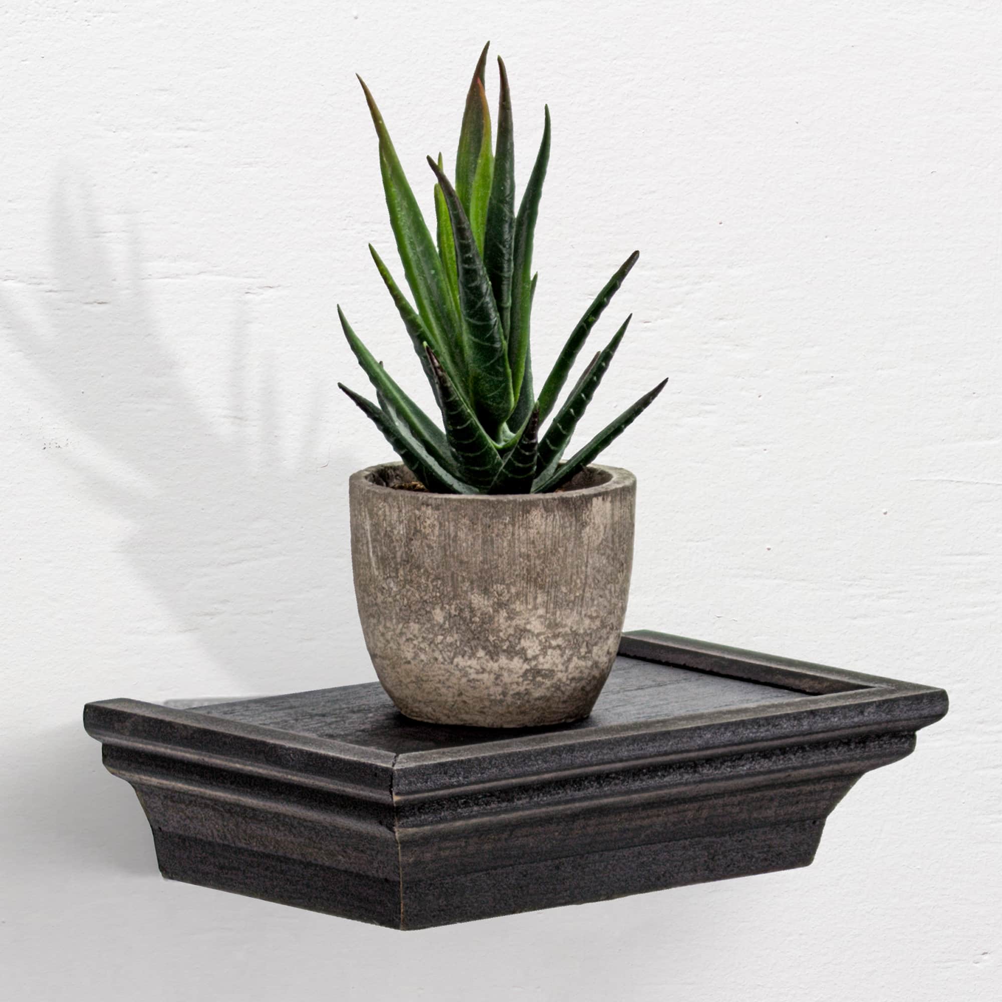 Black Floating Shelves with Crown Molding