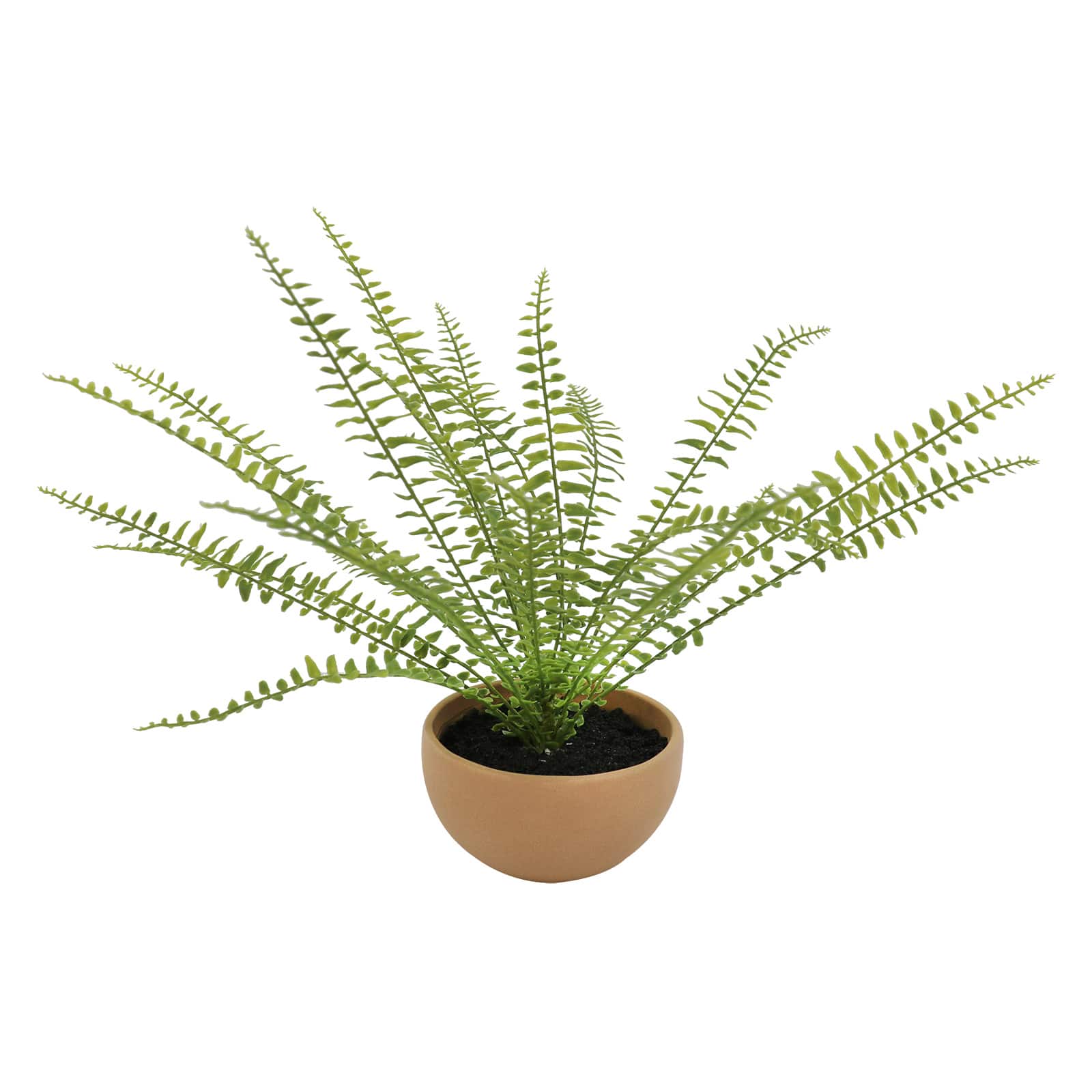 13&#x22; Boston Fern in Terra Cotta Planter by Ashland&#xAE;