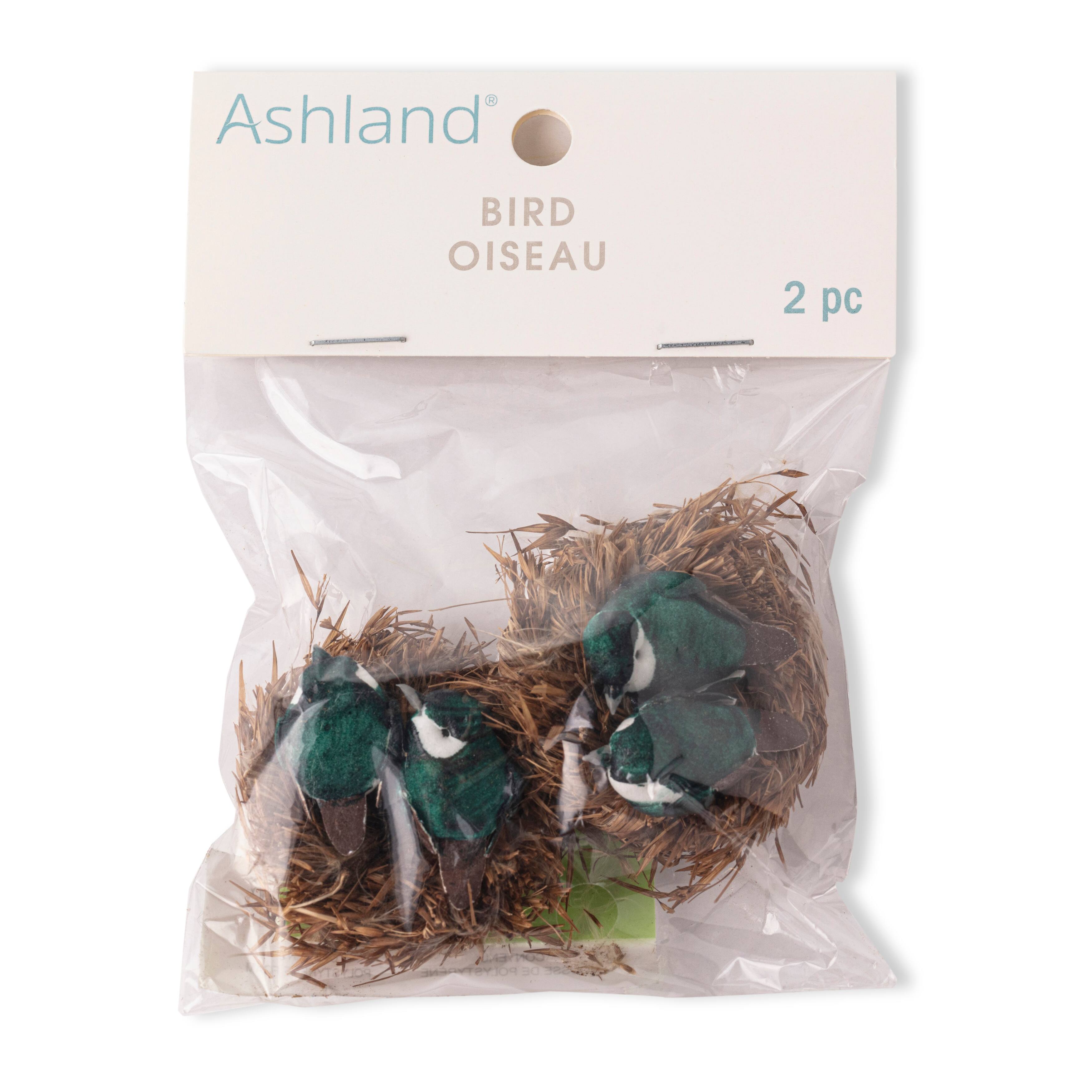 Assorted Bird in Nest by Ashland®