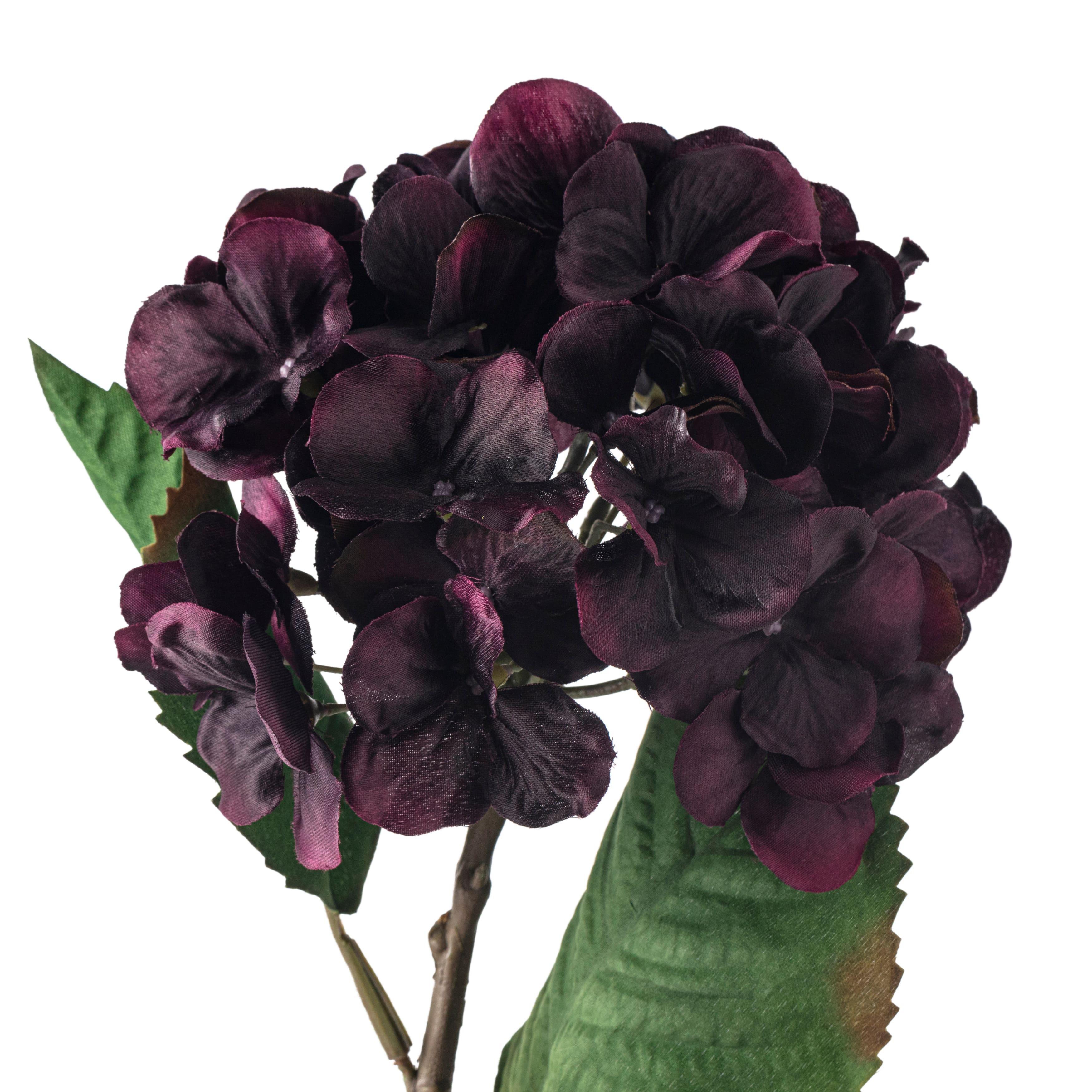 12 Pack: Black &#x26; Purple Hydrangea Stem by Ashland&#xAE;