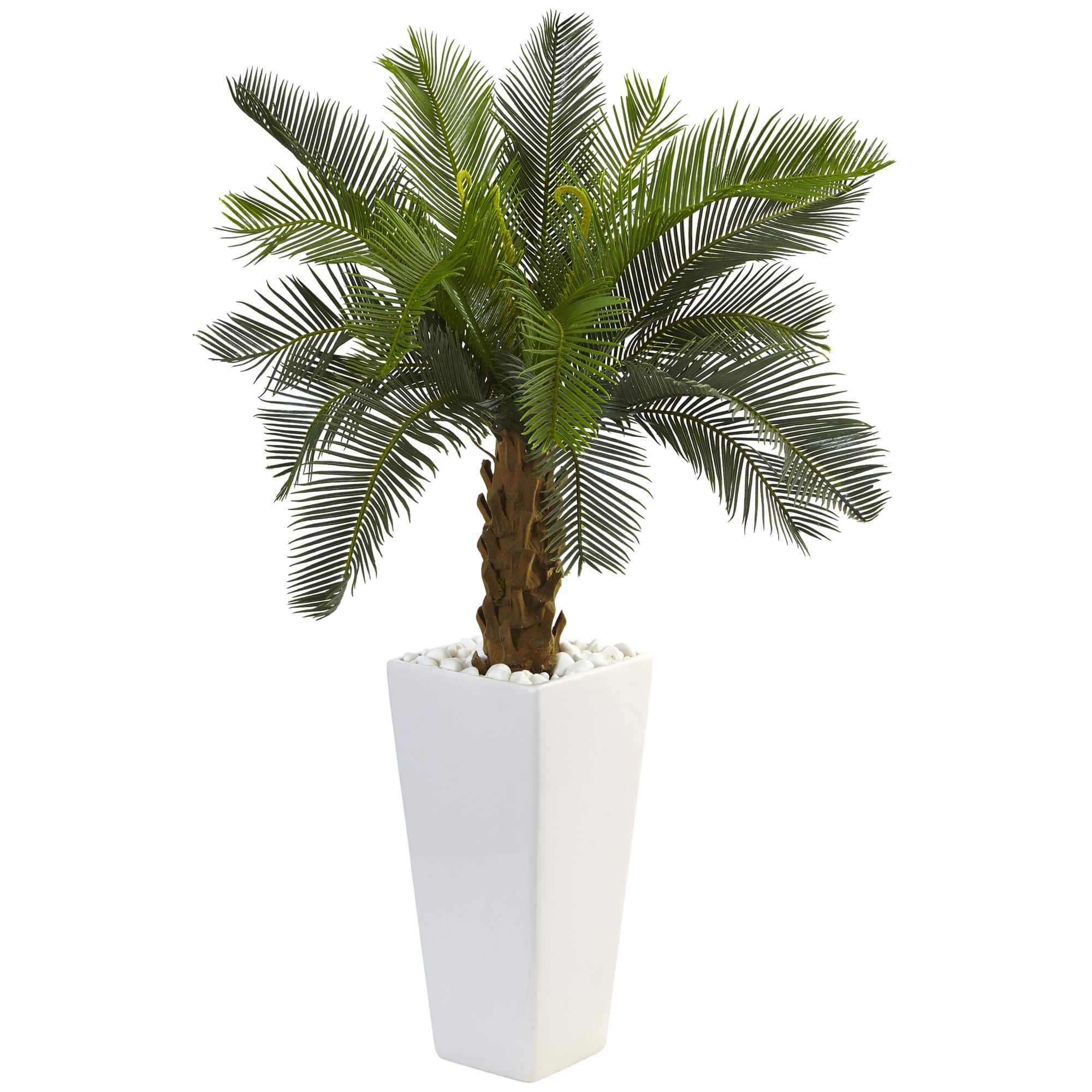 3ft. Sago Palm Tree in White Tower Planter