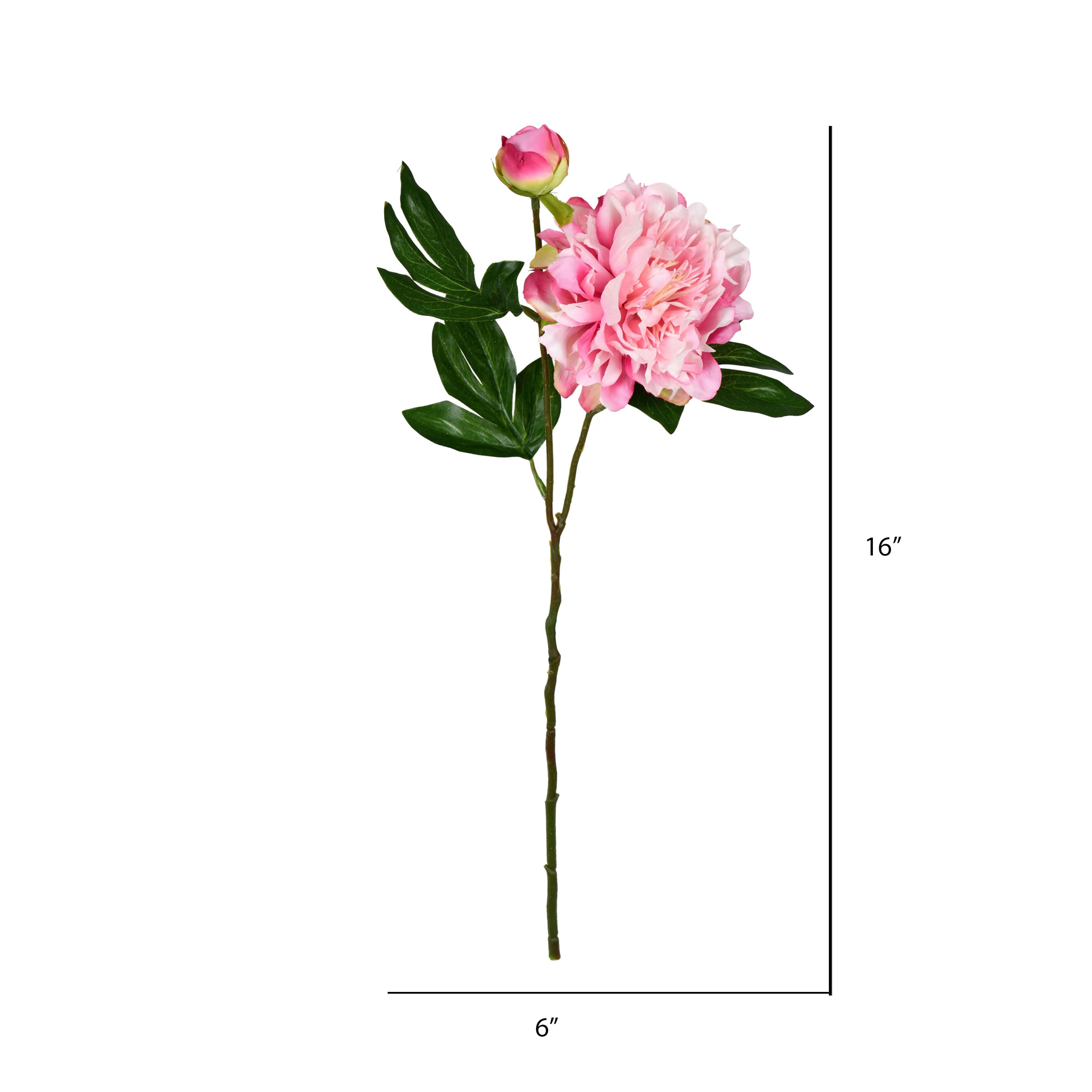 Light Pink Peony Stem, 6ct.