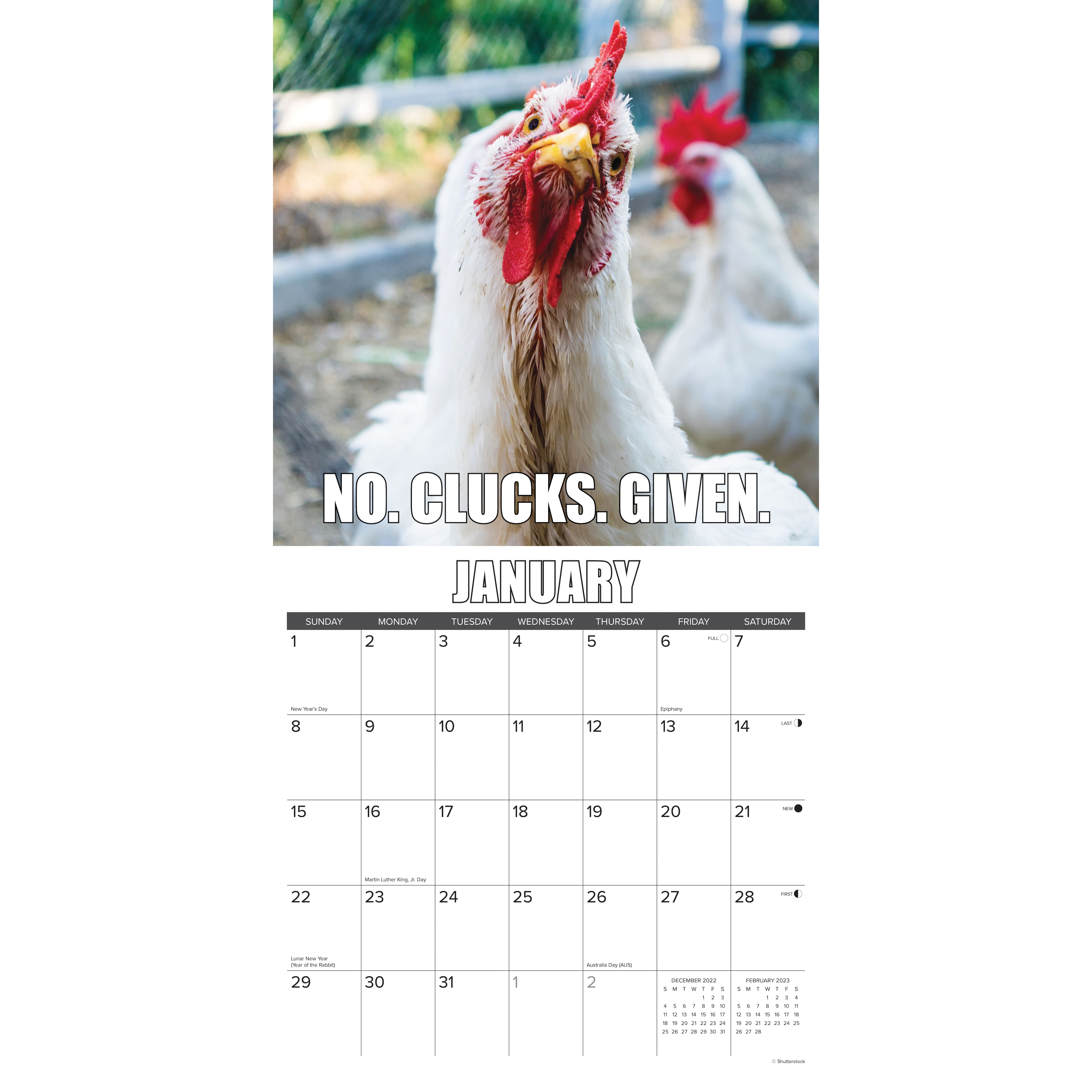 2023 Fowl Language Wall Calendar Michaels