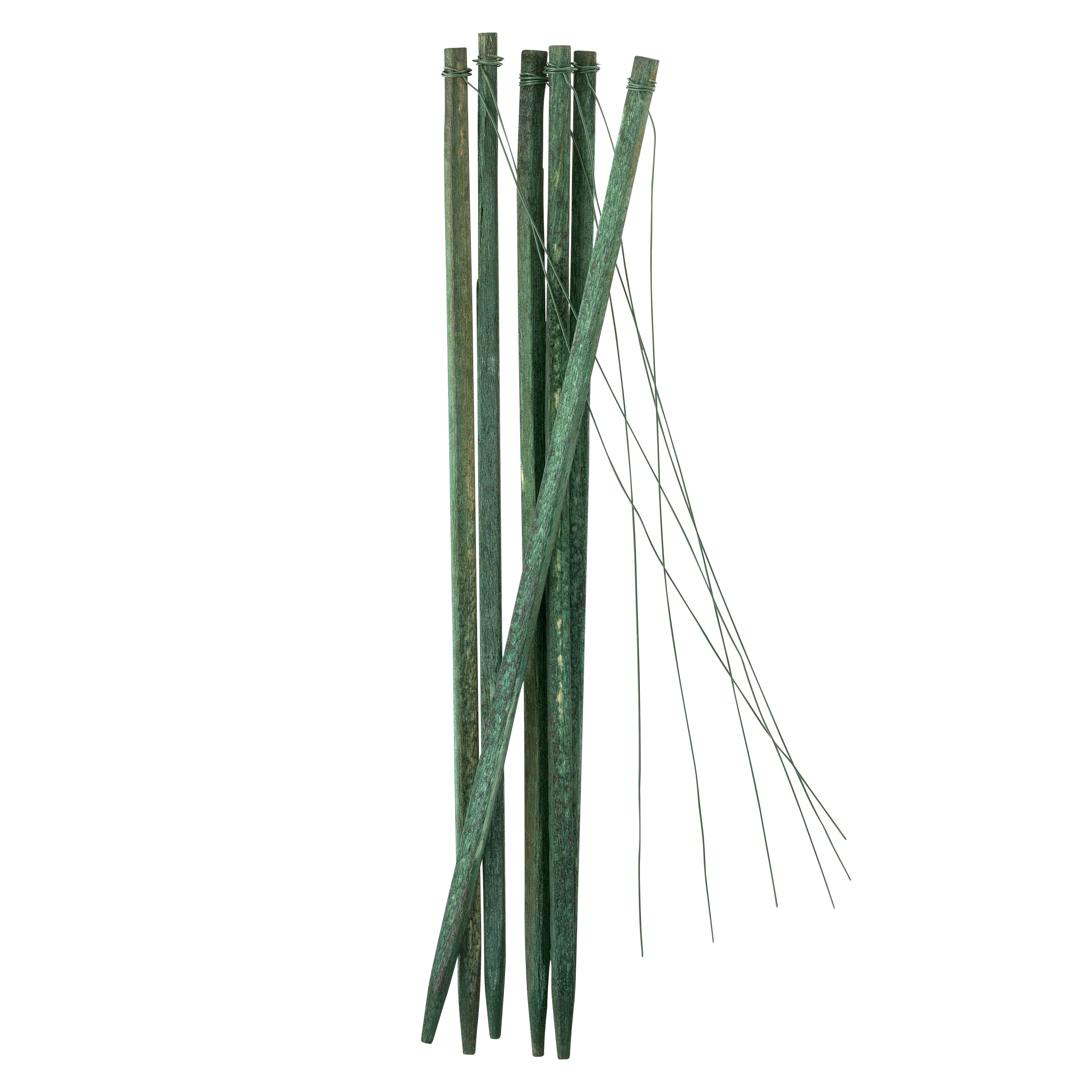 6" Wired Wood Picks by Ashland™