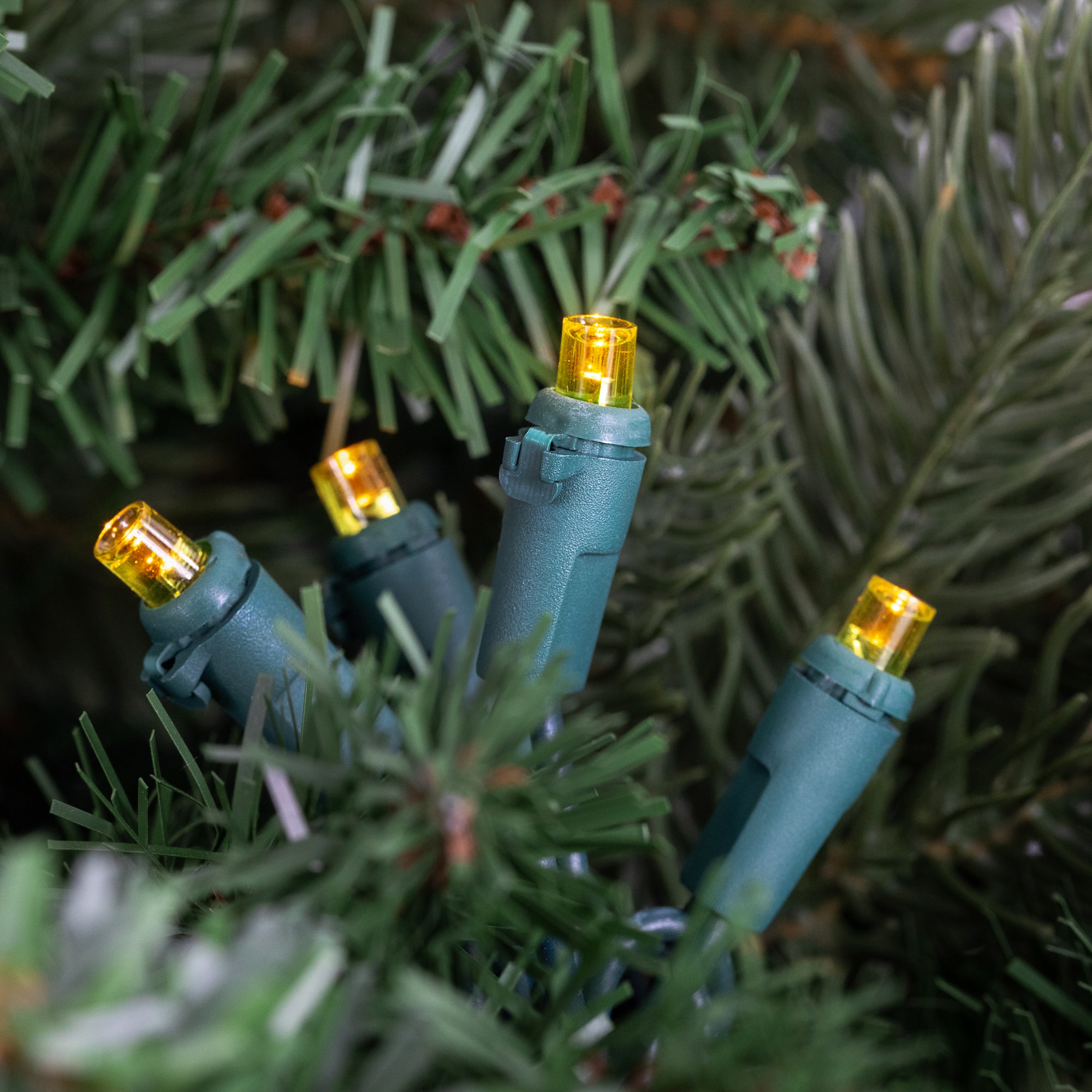 Wide Angle LED Christmas Lights - Yellow - 33&#x27; Green Wire - 100 ct