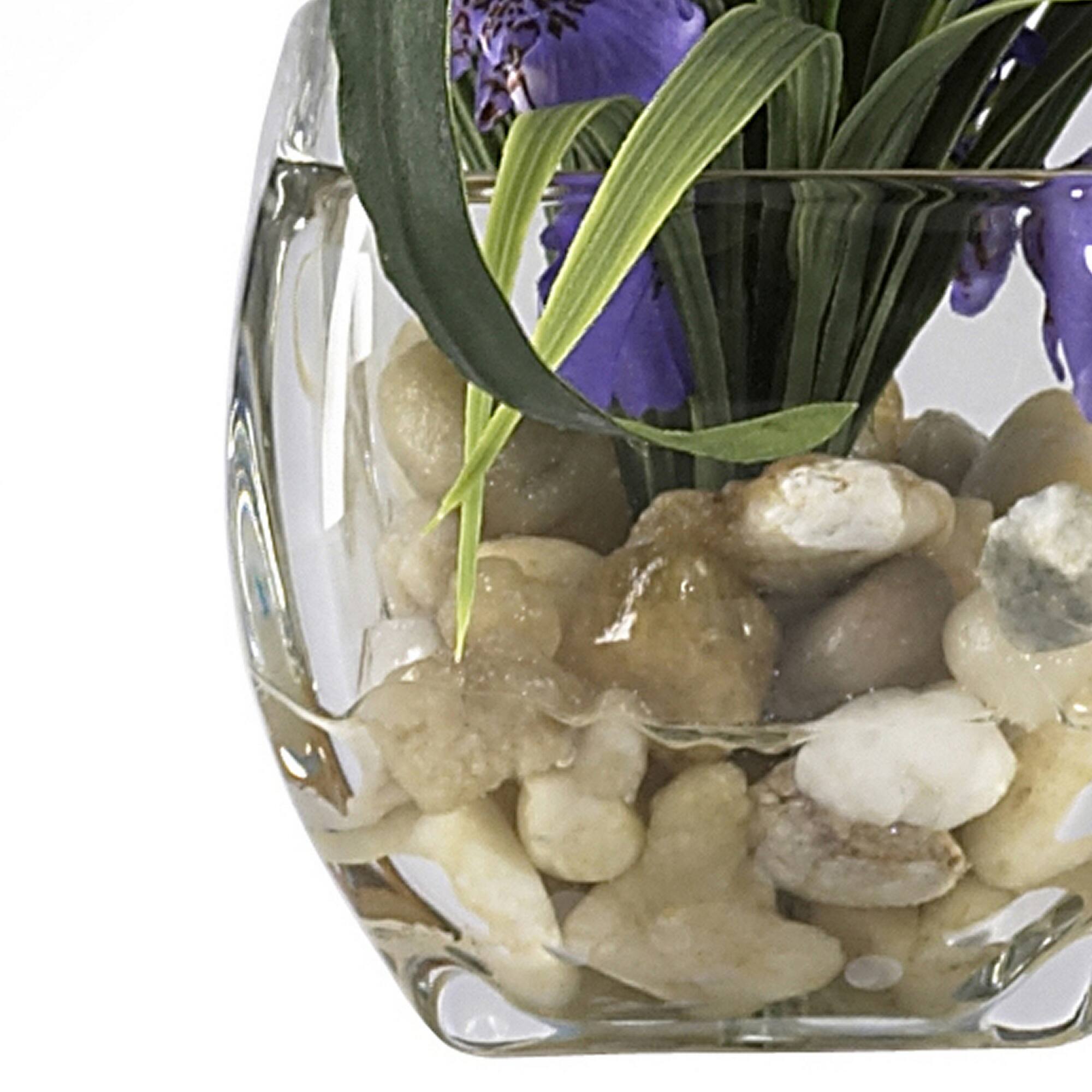 19" Purple Dancing Lady Orchid Arrangement in Vase