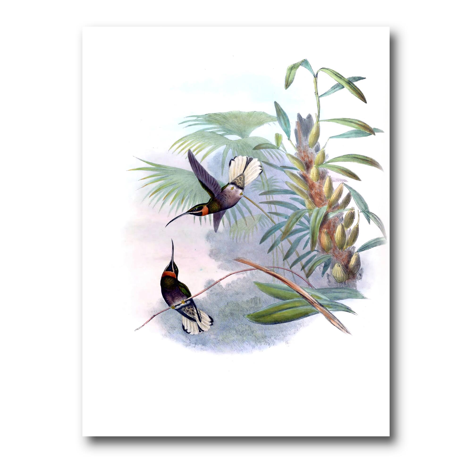 Designart - Vintage Hummingbird On A Branch - Traditional Canvas Wall Art Print