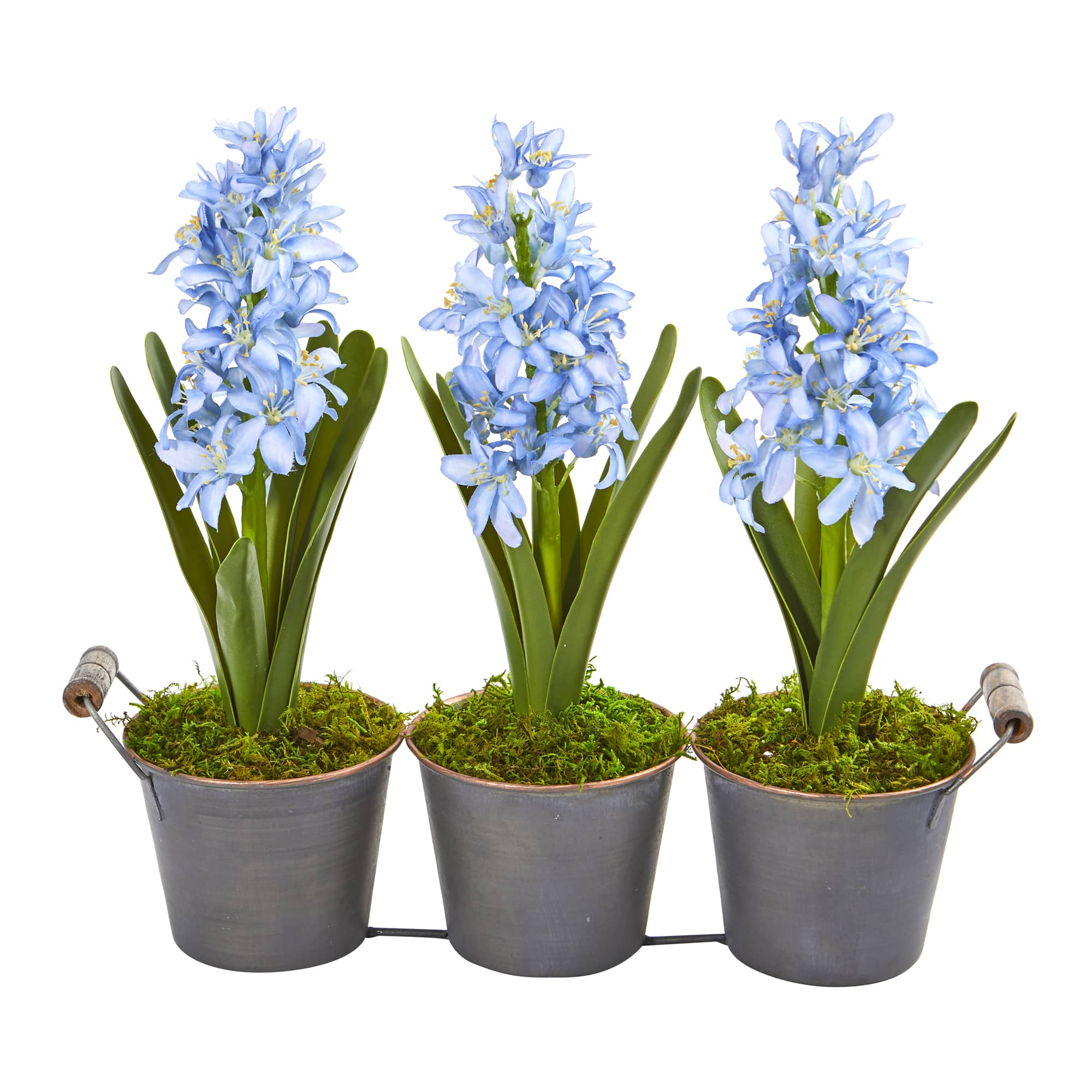 Blue Triple Potted Hyacinth Set