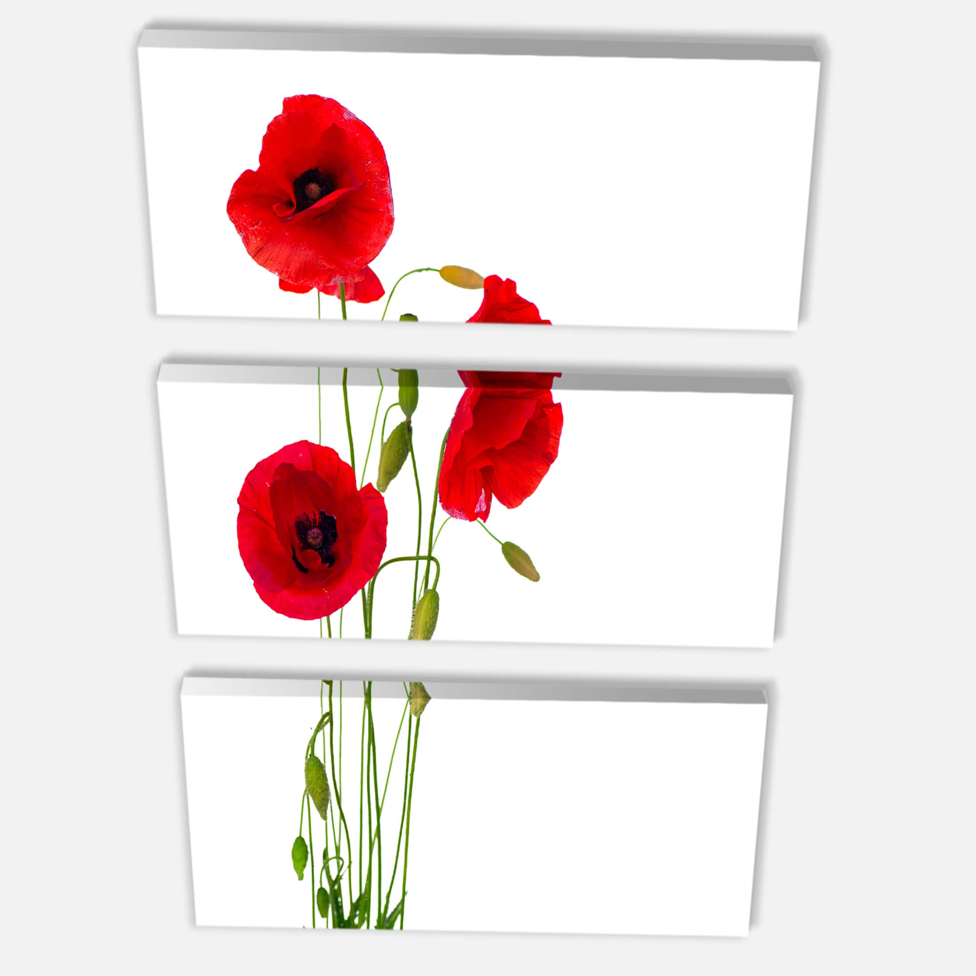 Designart - Isolated Red Poppy Flowers - Floral Canvas Art Print