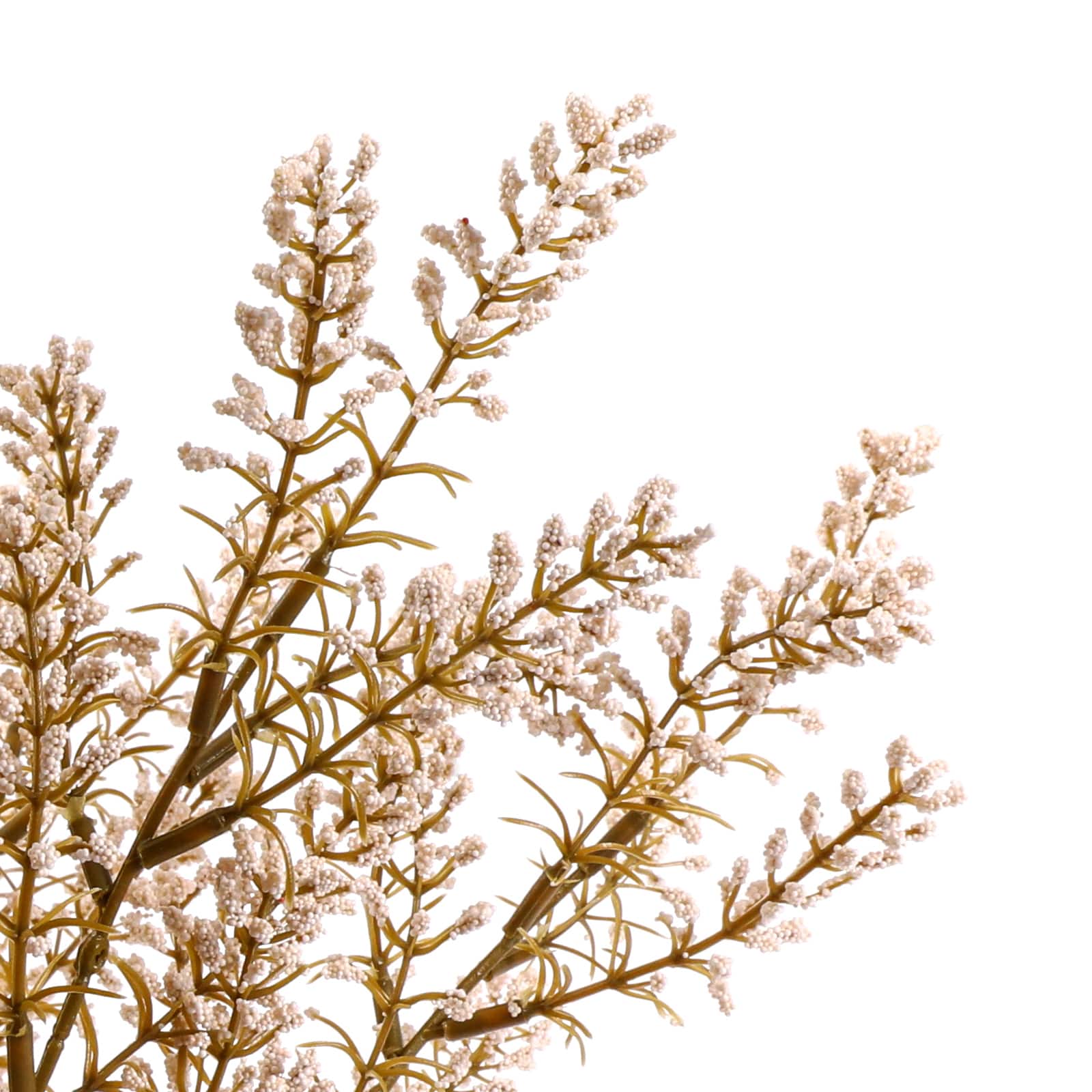 19&#x22; Berry Bush by Ashland&#xAE;