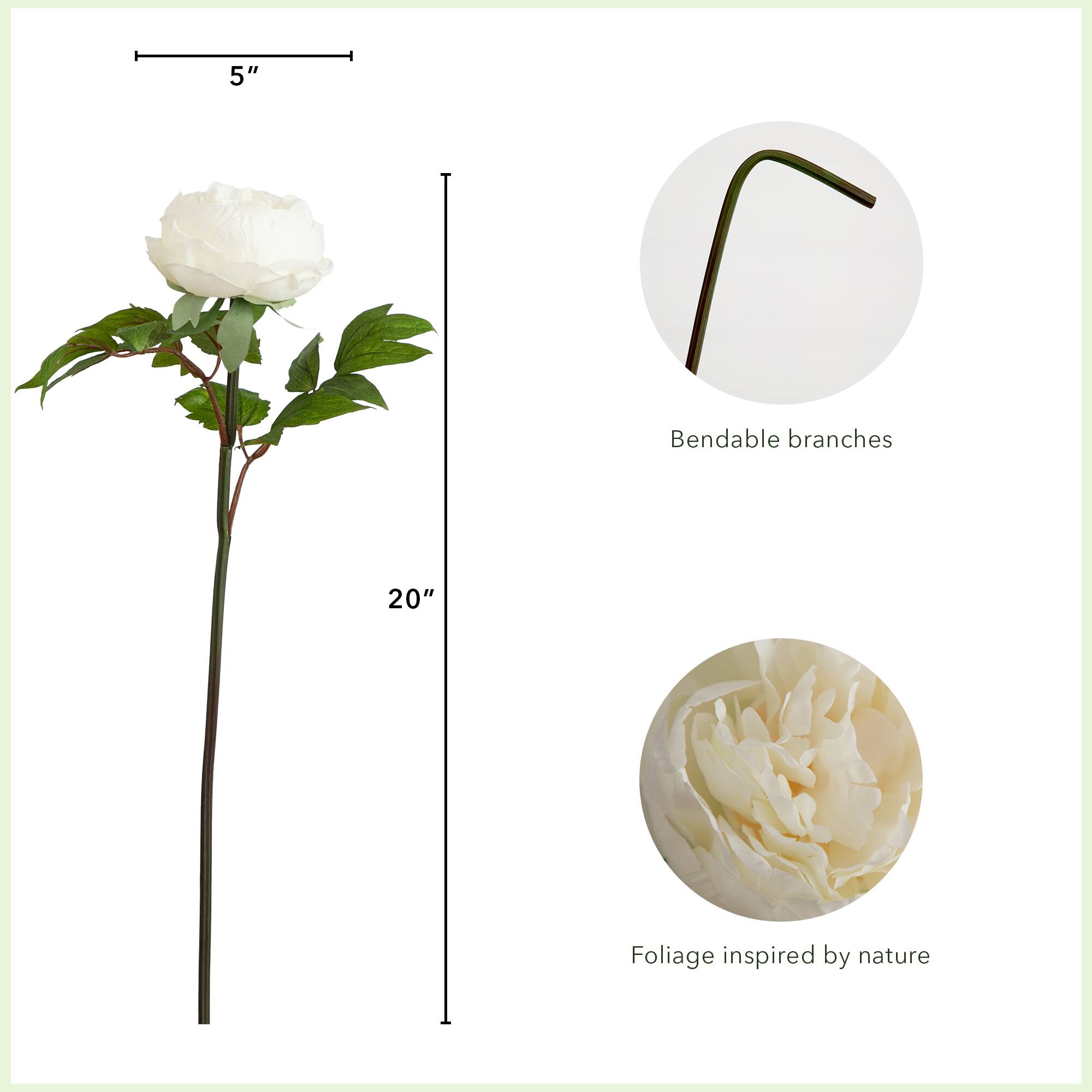 20&#x22; White Peony Flower Stems, 3ct.