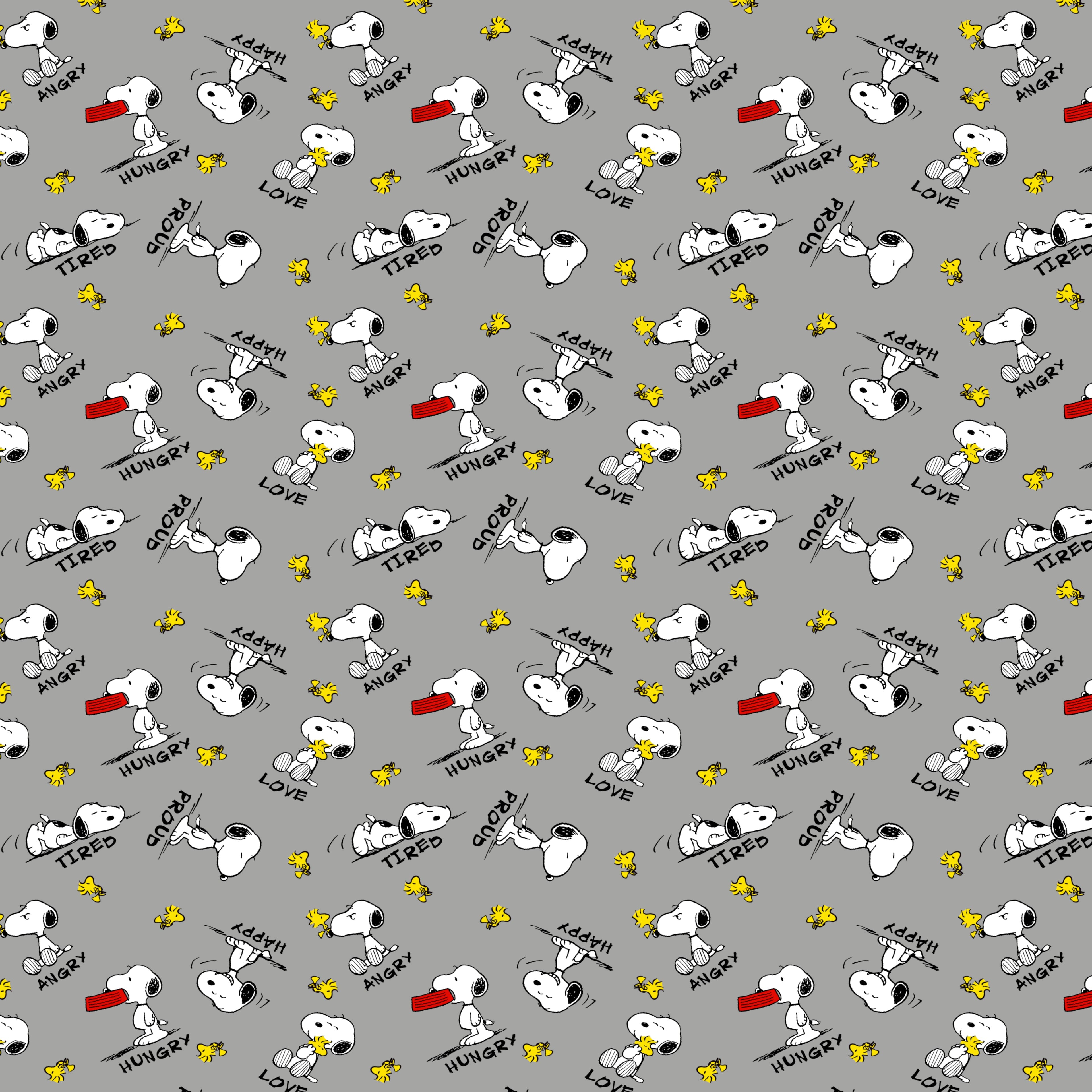 Peanuts&#xAE; Snoopy &#x26; Woodstock Feelings Gray Cotton Fabric