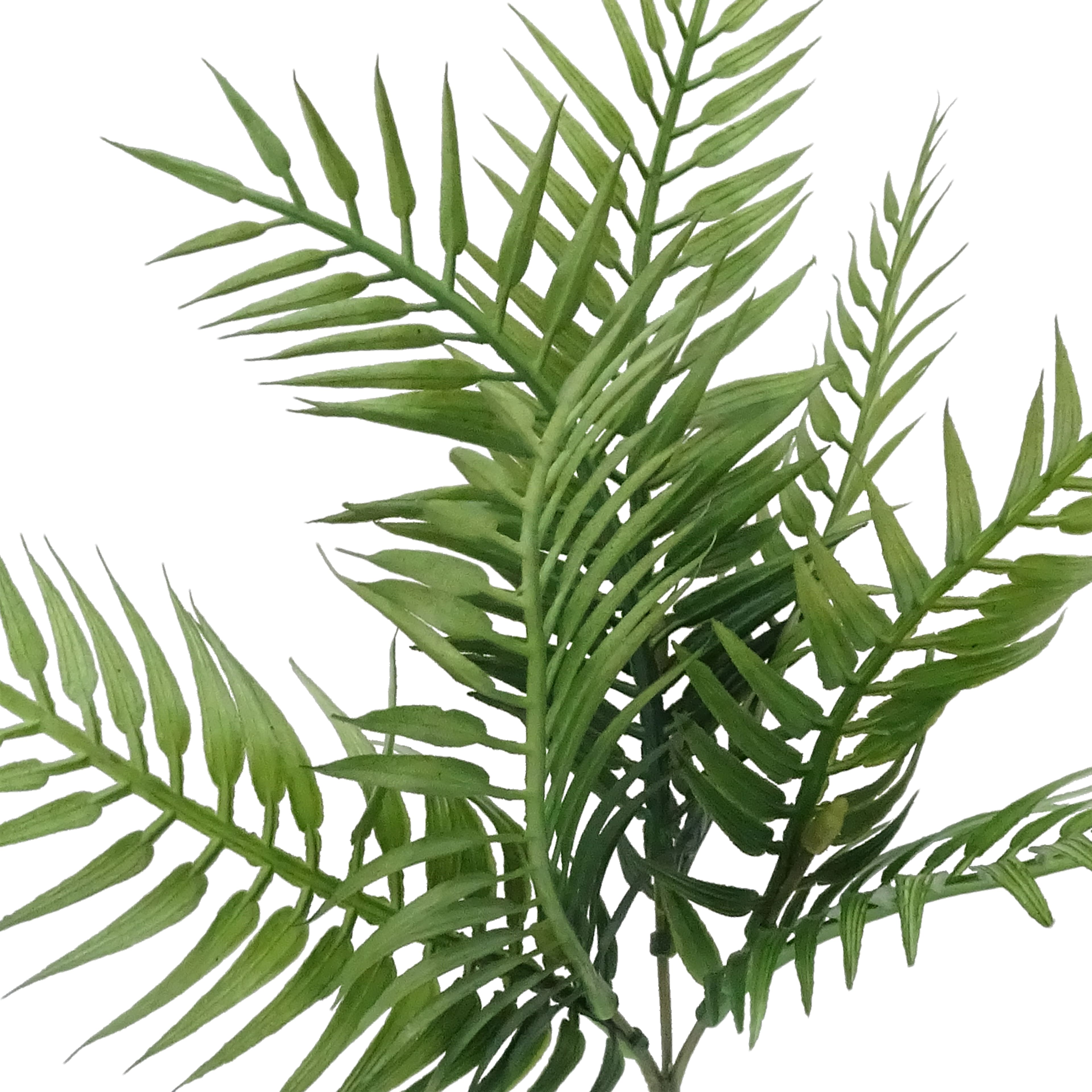9&#x22; Green Fern Pick by Ashland&#xAE;