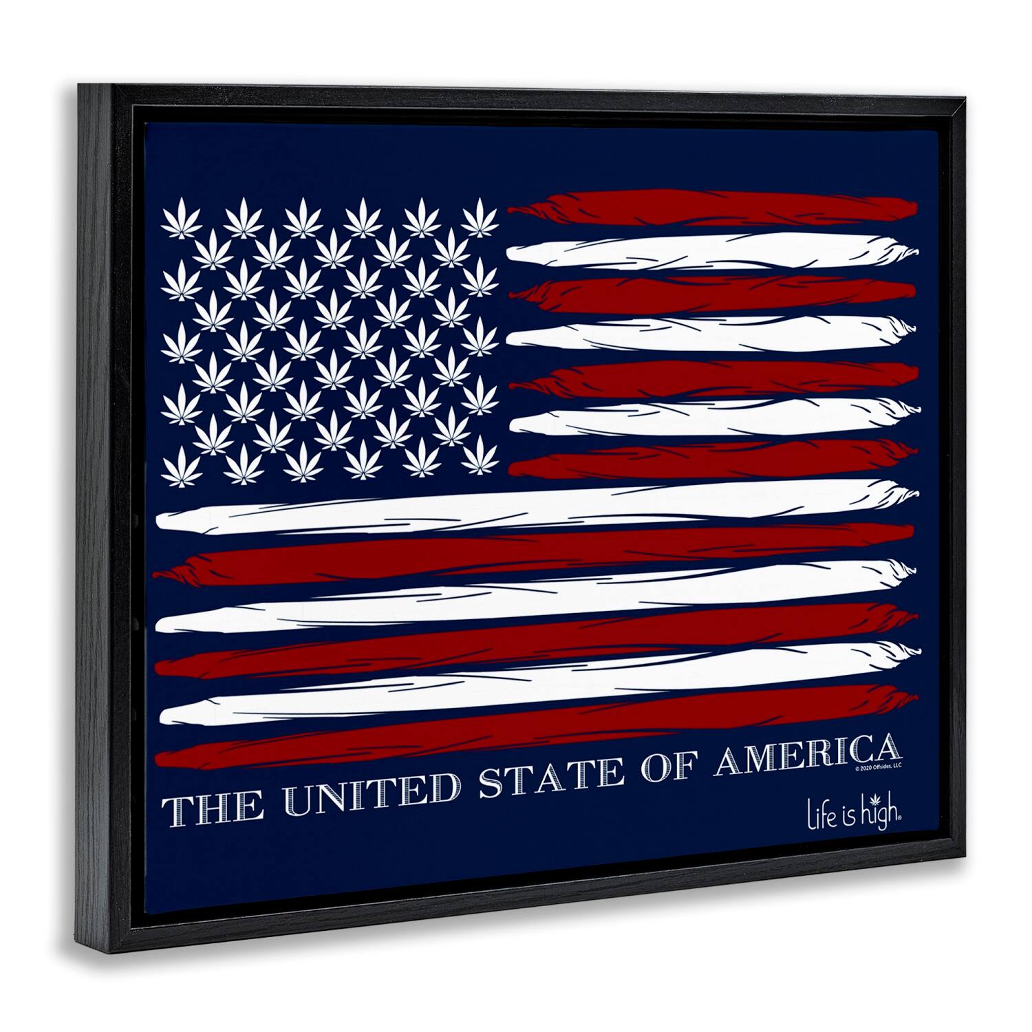 Stupell Industries Herb America Flag Floater Framed Art