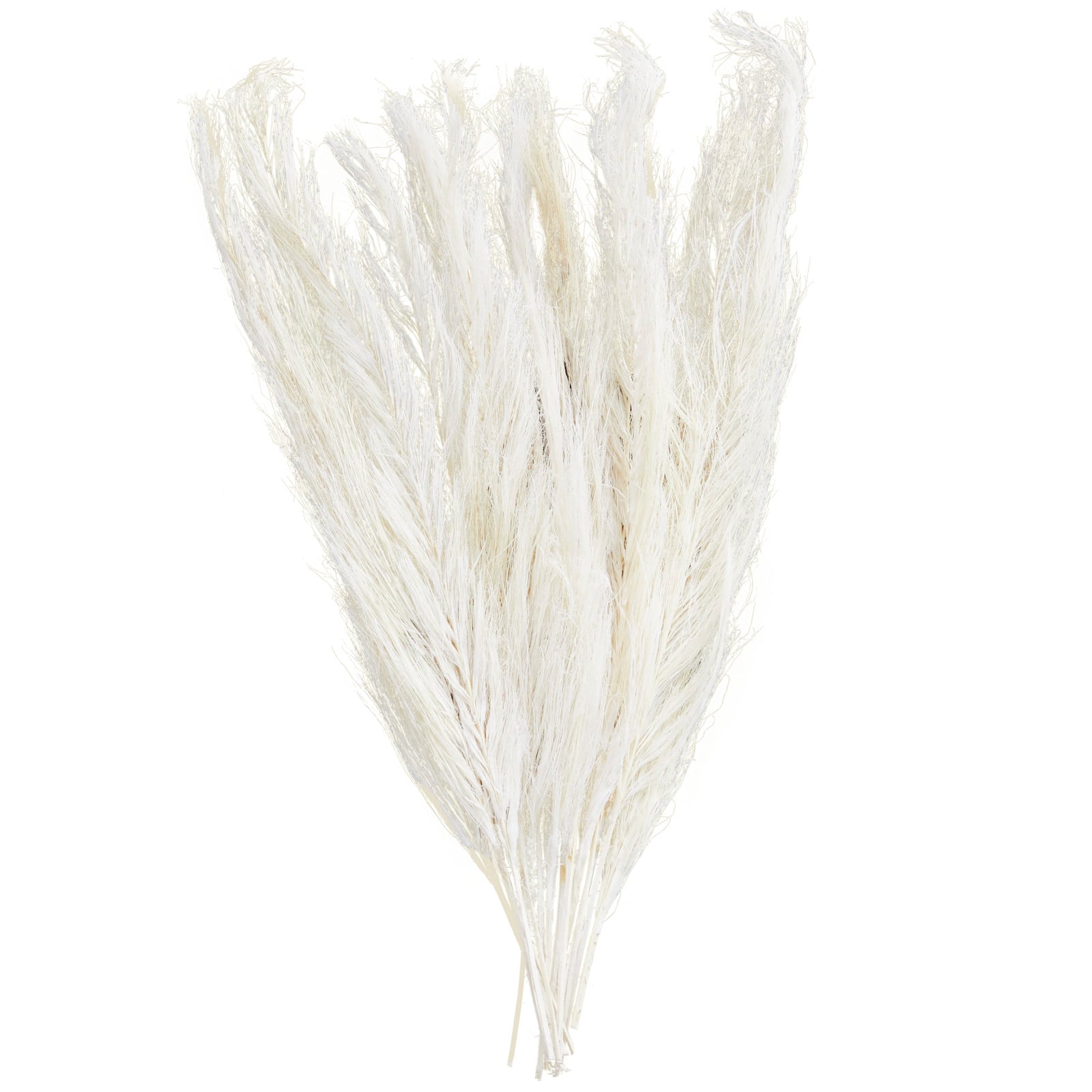35&#x22; Natural Dried Palm Leaf Bundle with Feather-Inspired Stems