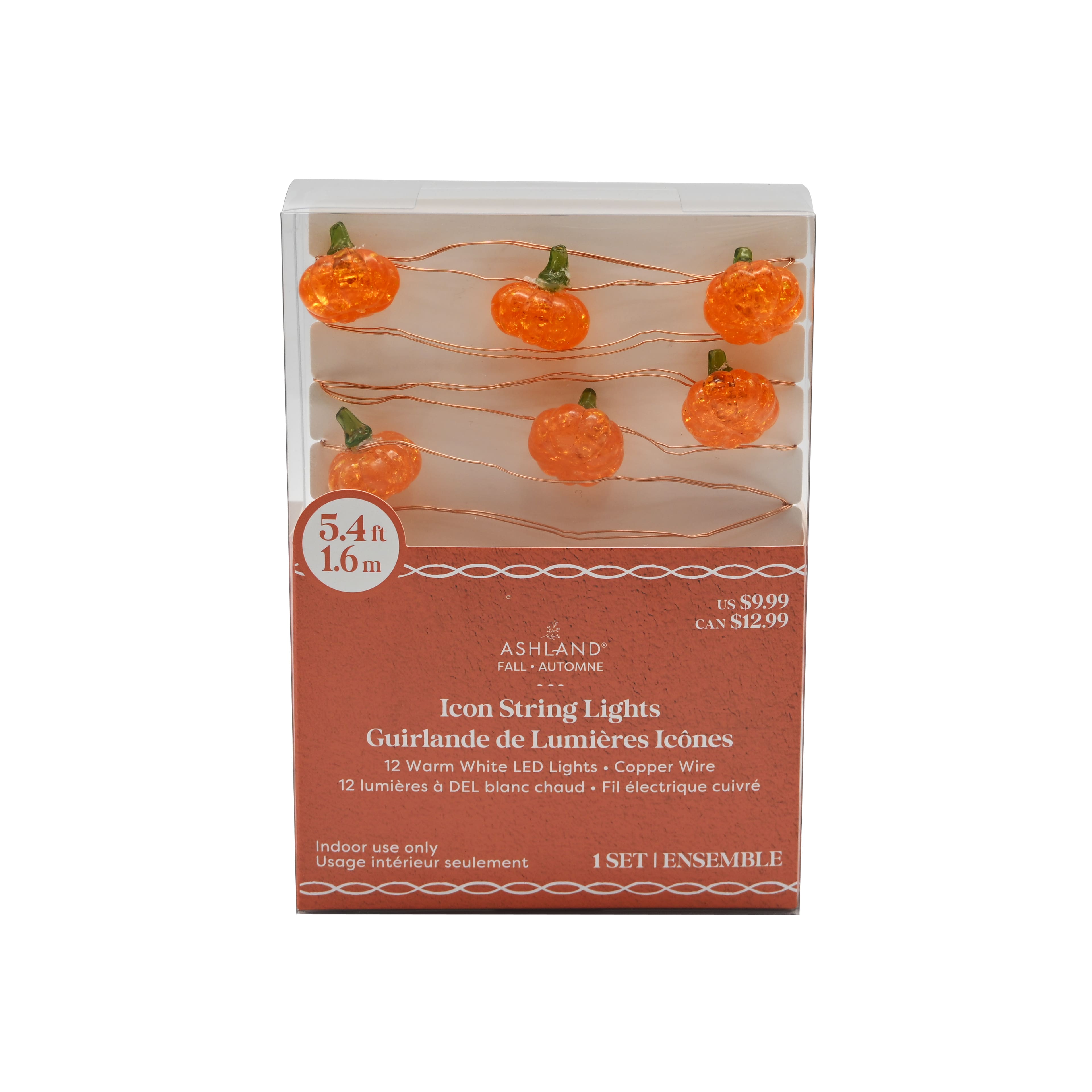 12ct. Warm White LED Pumpkin Icon String Lights by Ashland&#xAE;