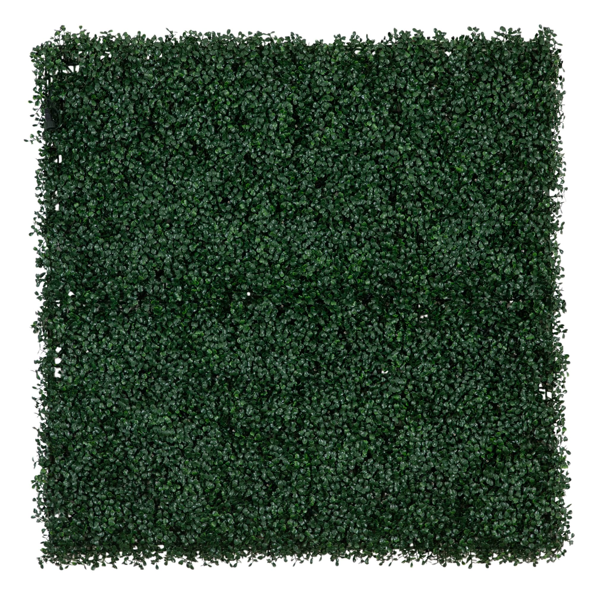 40&#x22; Pre-Lit Warm White LED Boxwood Artificial Living Wall Panel