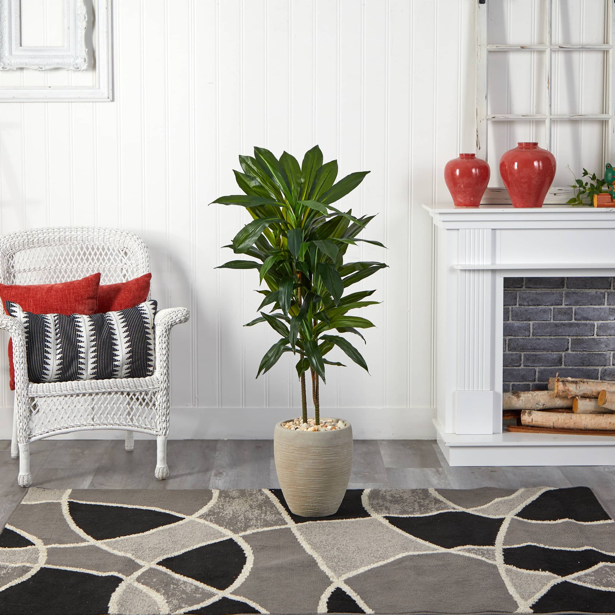 4ft. Dracaena Plant in Sand Colored Planter