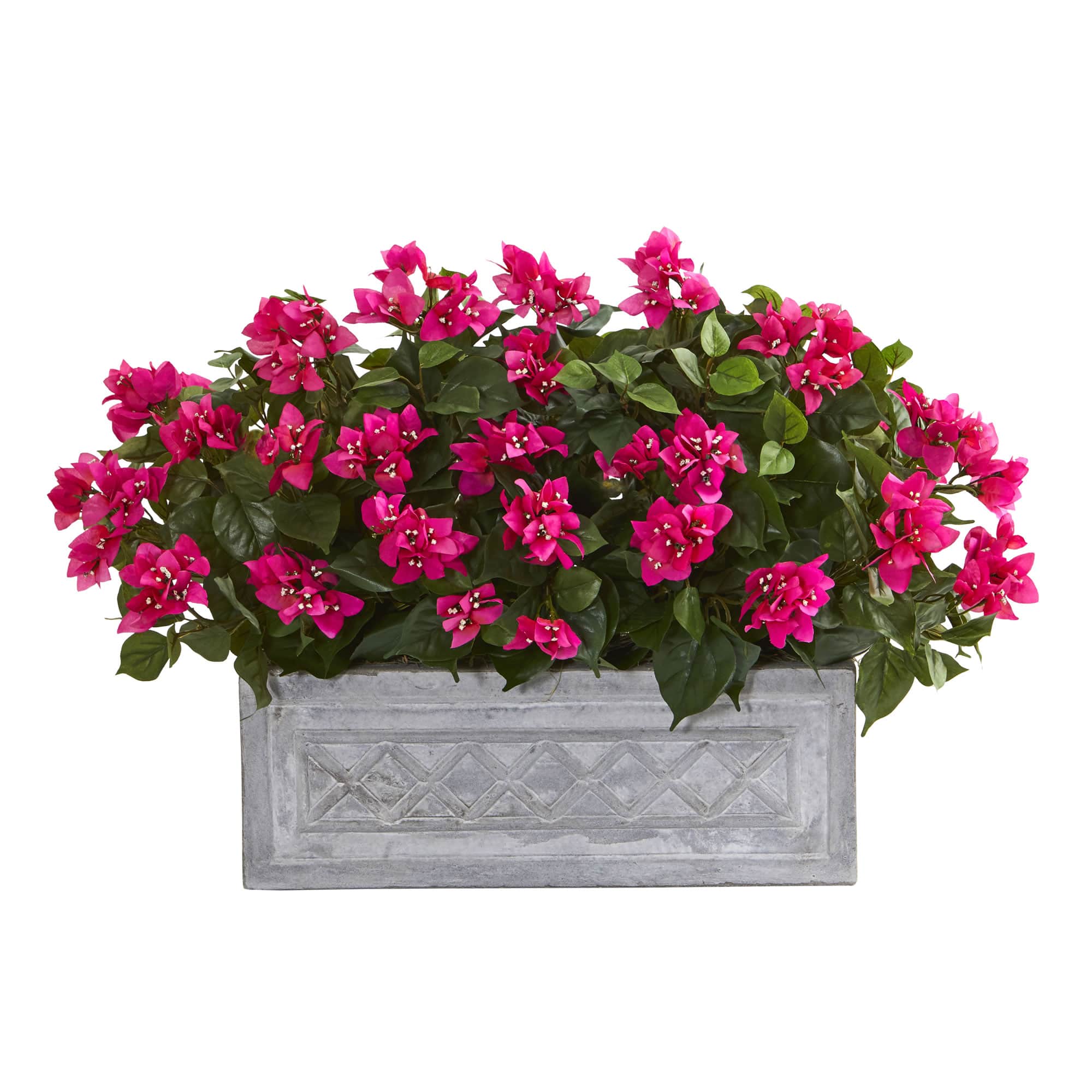 2.5ft. Pink Bougainvillea in Stone Planter