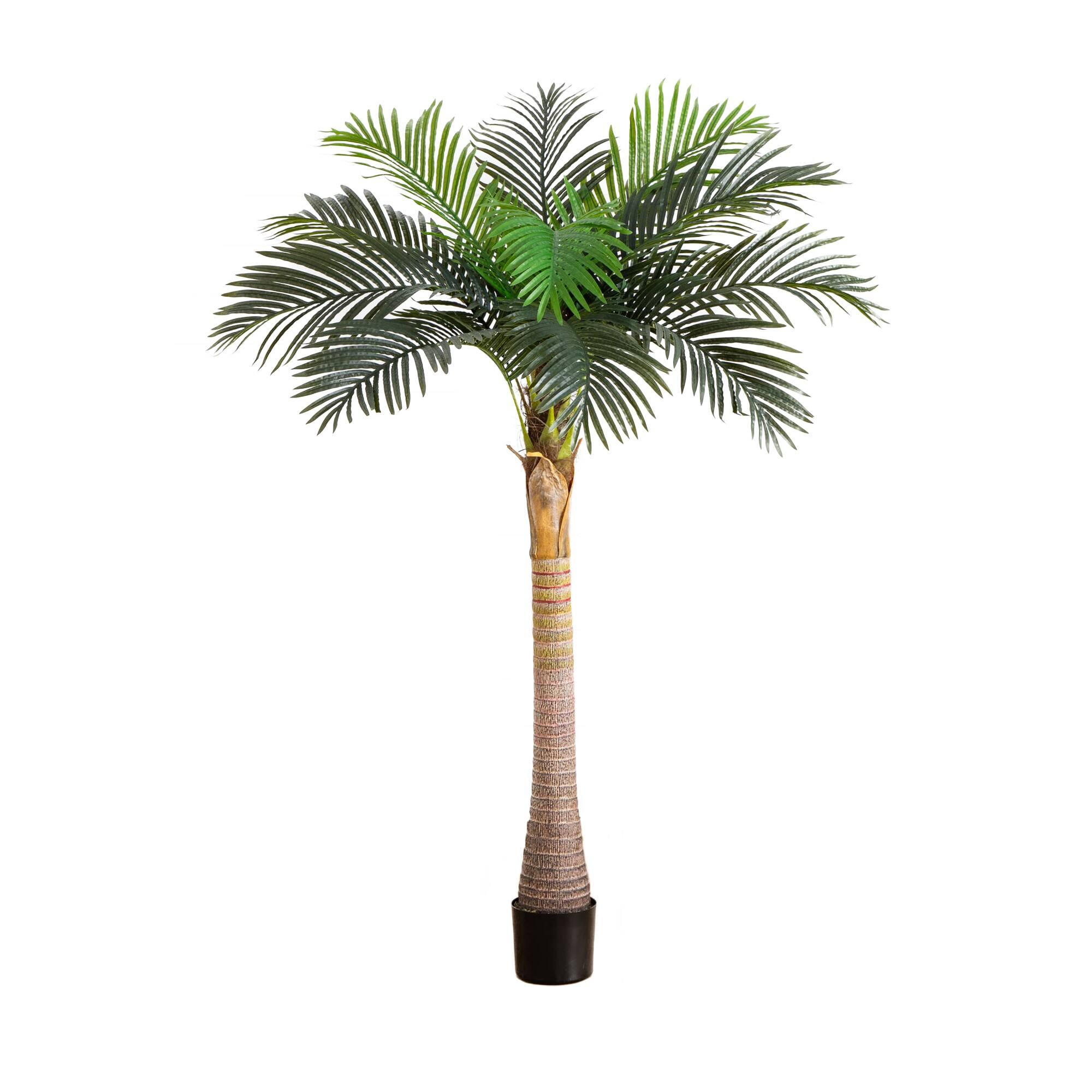 6ft. Potted Coconut Palm Tree