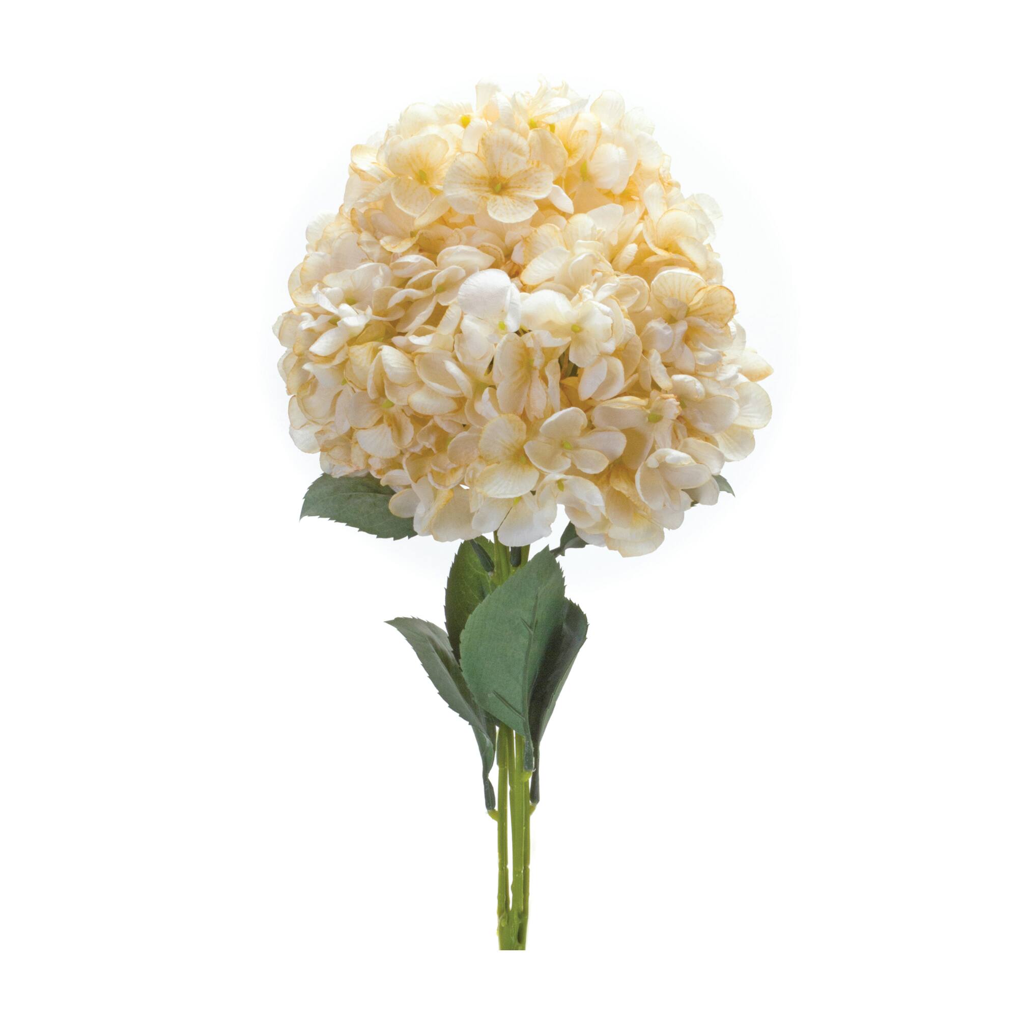 White Hydrangea Bush, 2ct.