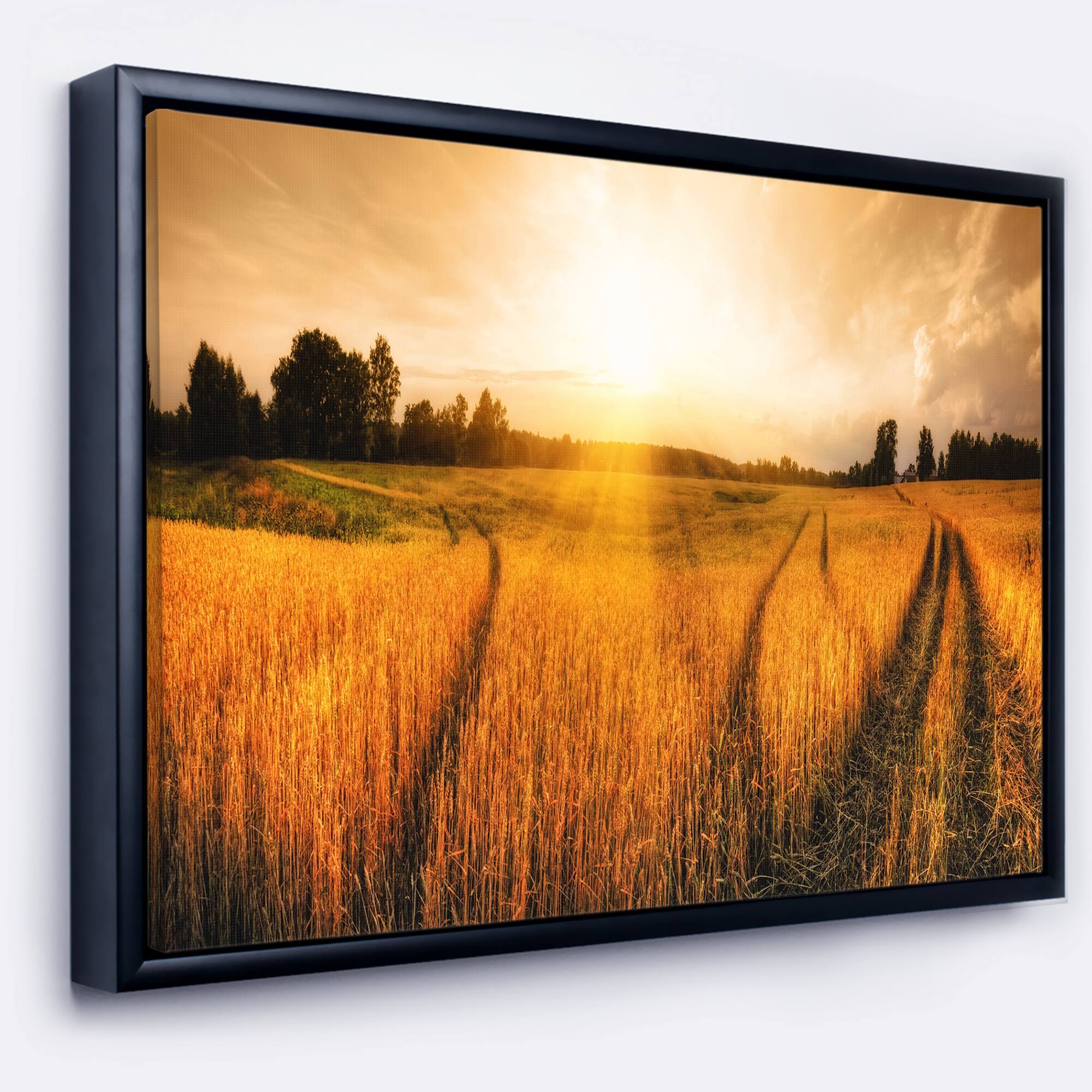 Designart - Wheat Field at Sunset Panorama - Photography Canvas Art Print in Black Frame