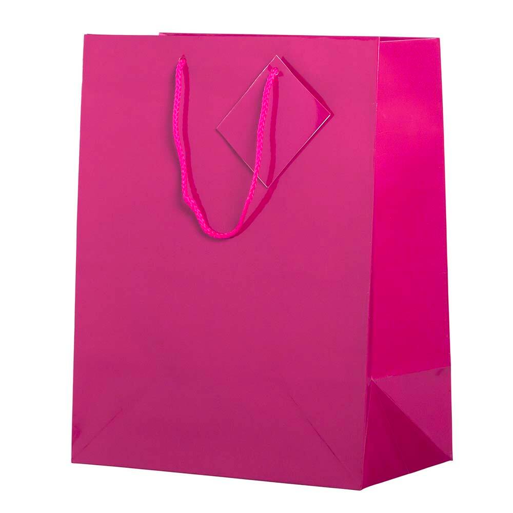 JAM Paper Large Glossy Gift Bags with Rope Handles, 3ct.
