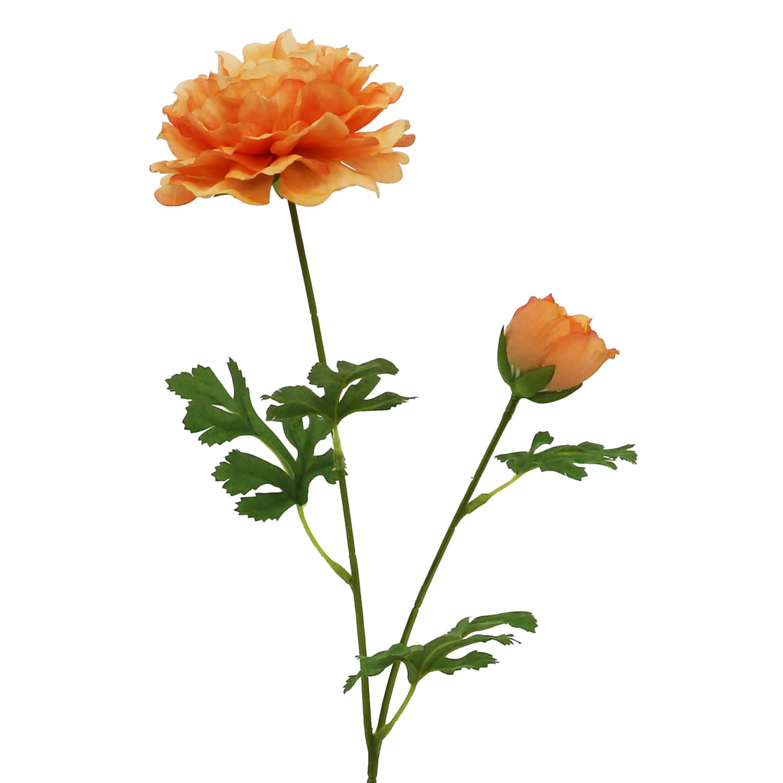 24&#x22; Peach Ranunculus Stem by Ashland&#xAE;