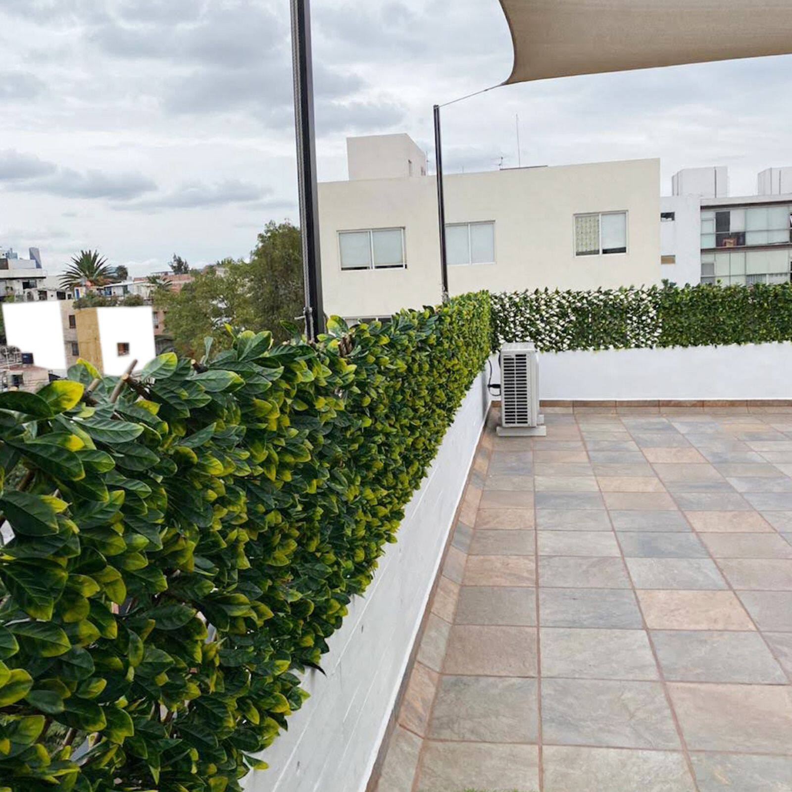 4ft. Expandable Lemon Leaf Lattice Screen