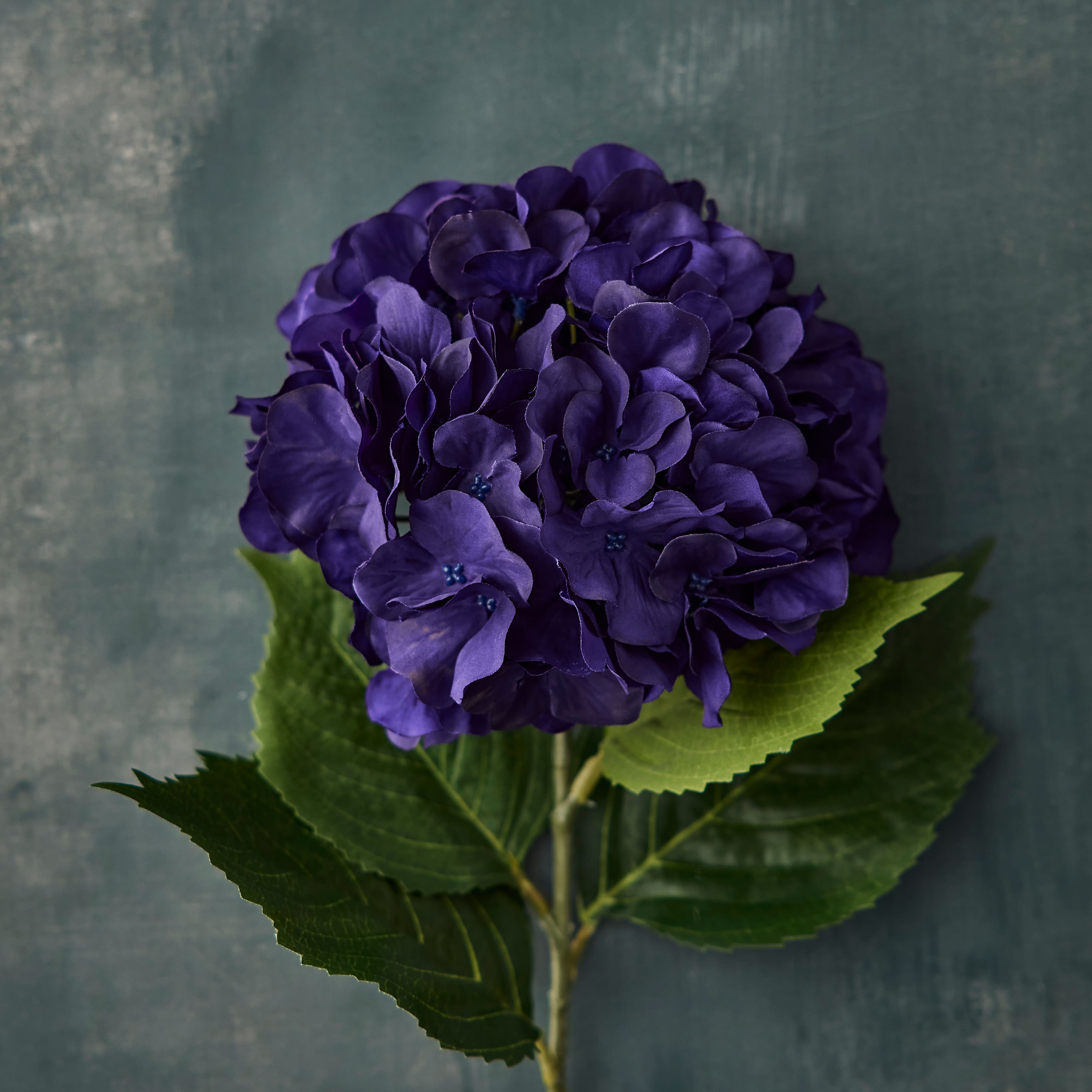 Purple-Blue Hydrangea Stem by Ashland&#xAE;