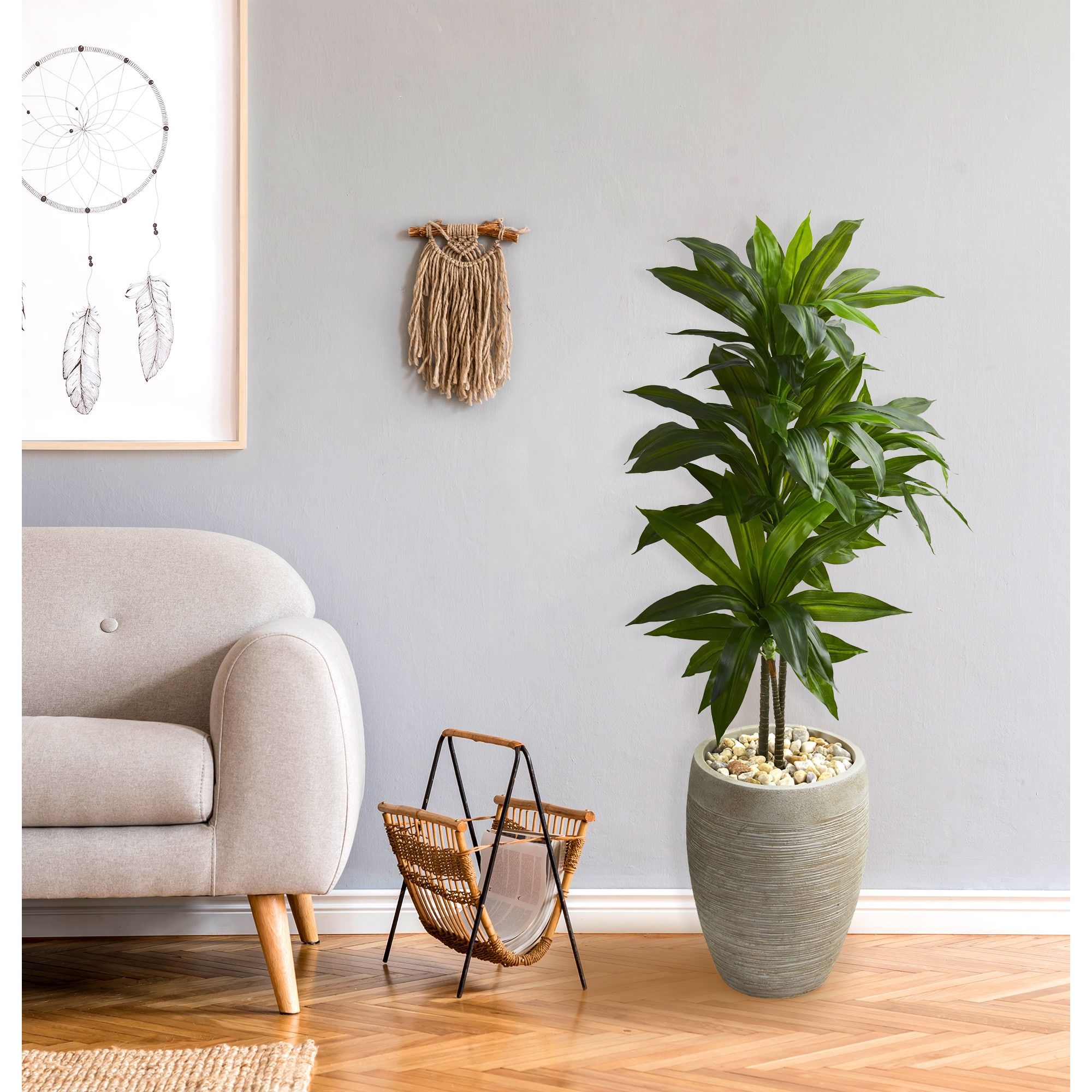 4ft. Dracaena Plant in Sand Colored Planter