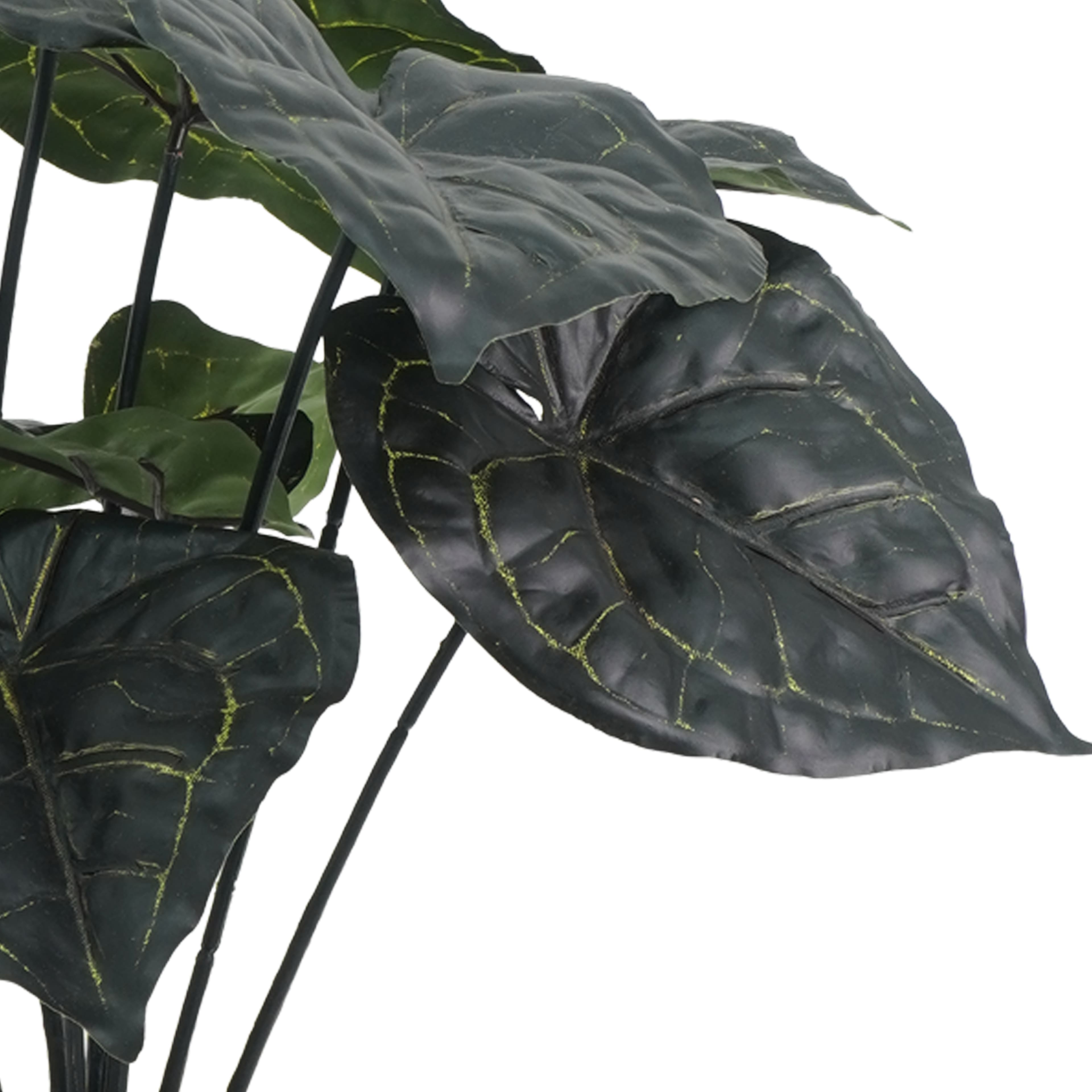 15.5&#x22; Potted Anthurium Clarinervium by Ashland&#xAE;
