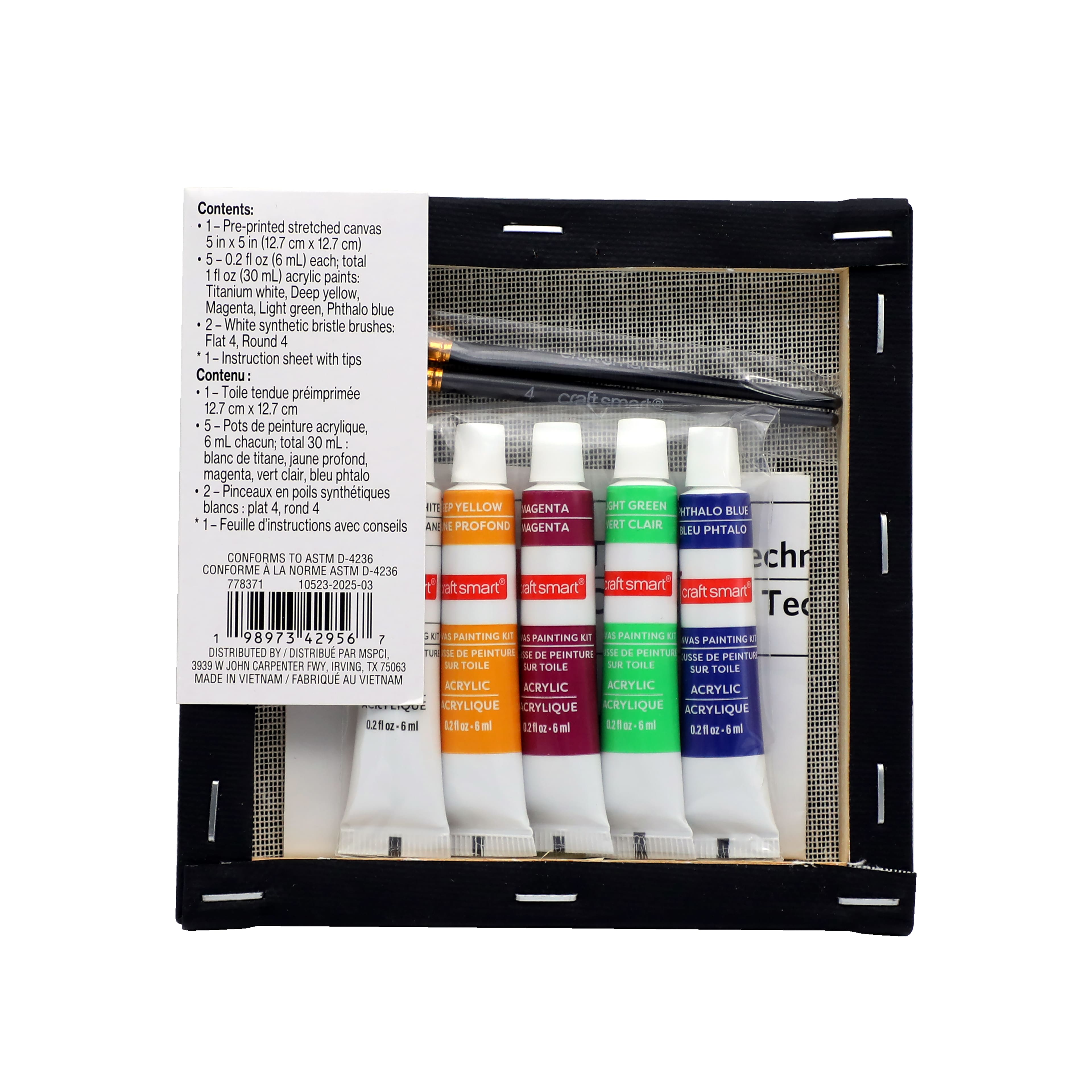 5&#x22; x 5&#x22; Moth in Web Canvas Painting Kit by Craft Smart&#xAE;