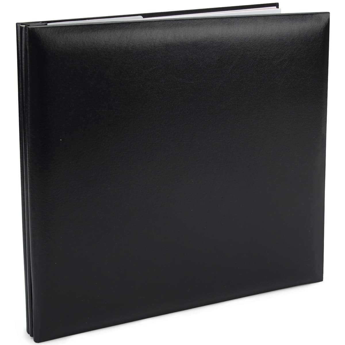 Pioneer® Leatherette Post Bound Album, 12